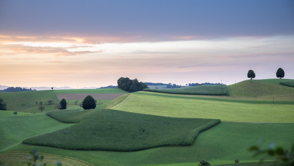 green grass field under cloudy sky during daytime