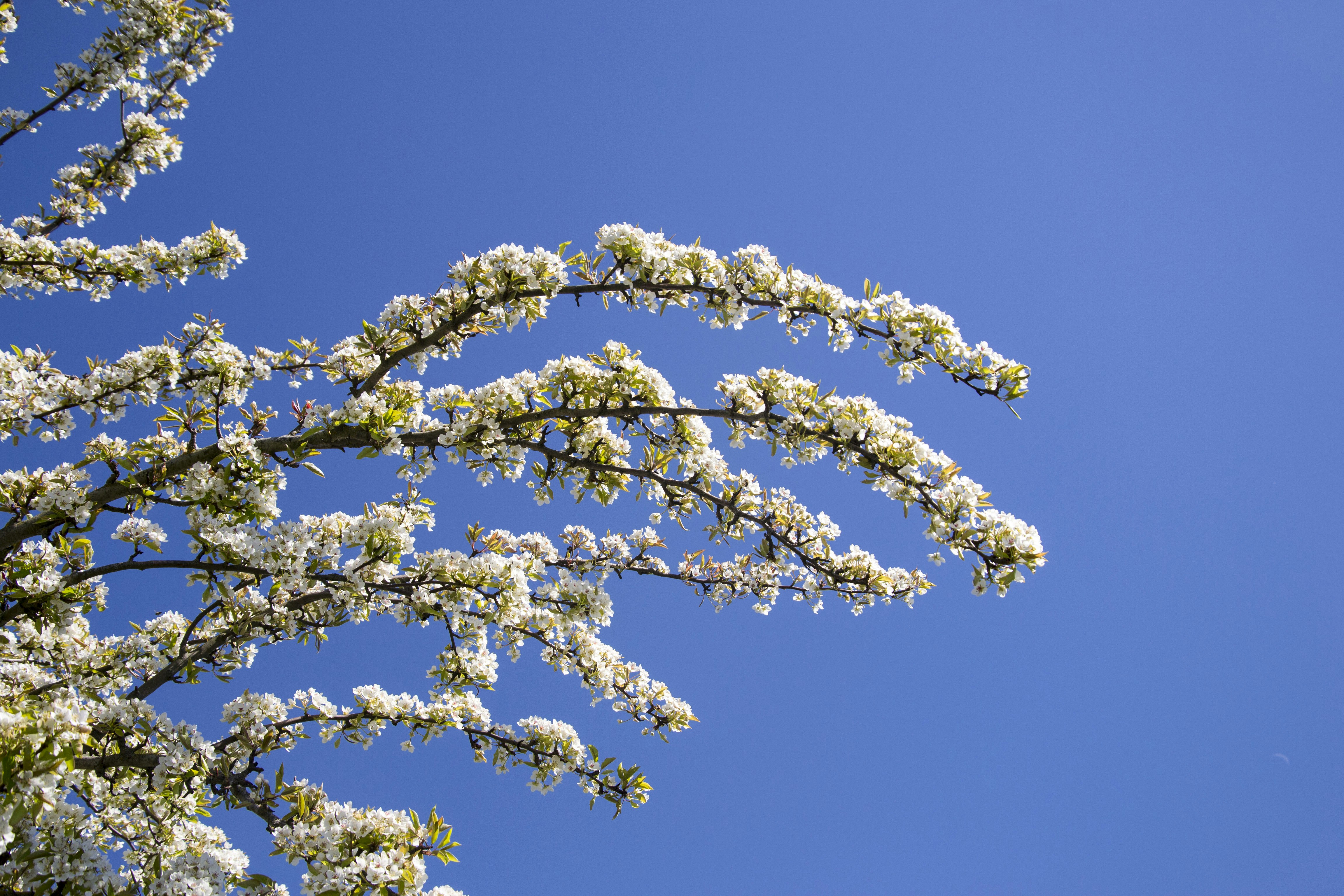 Photo by filedoesnotexist