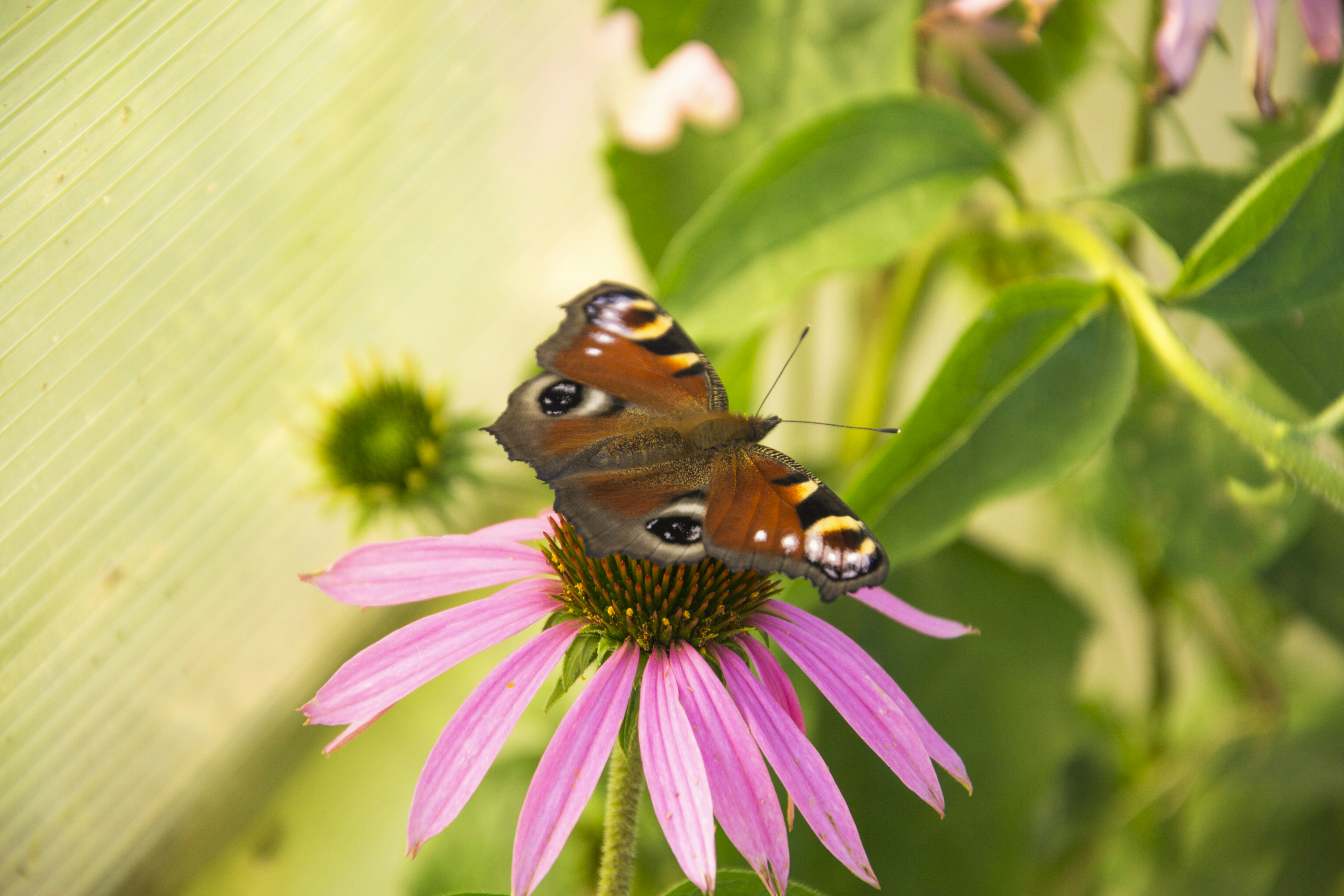 Photo by filedoesnotexist