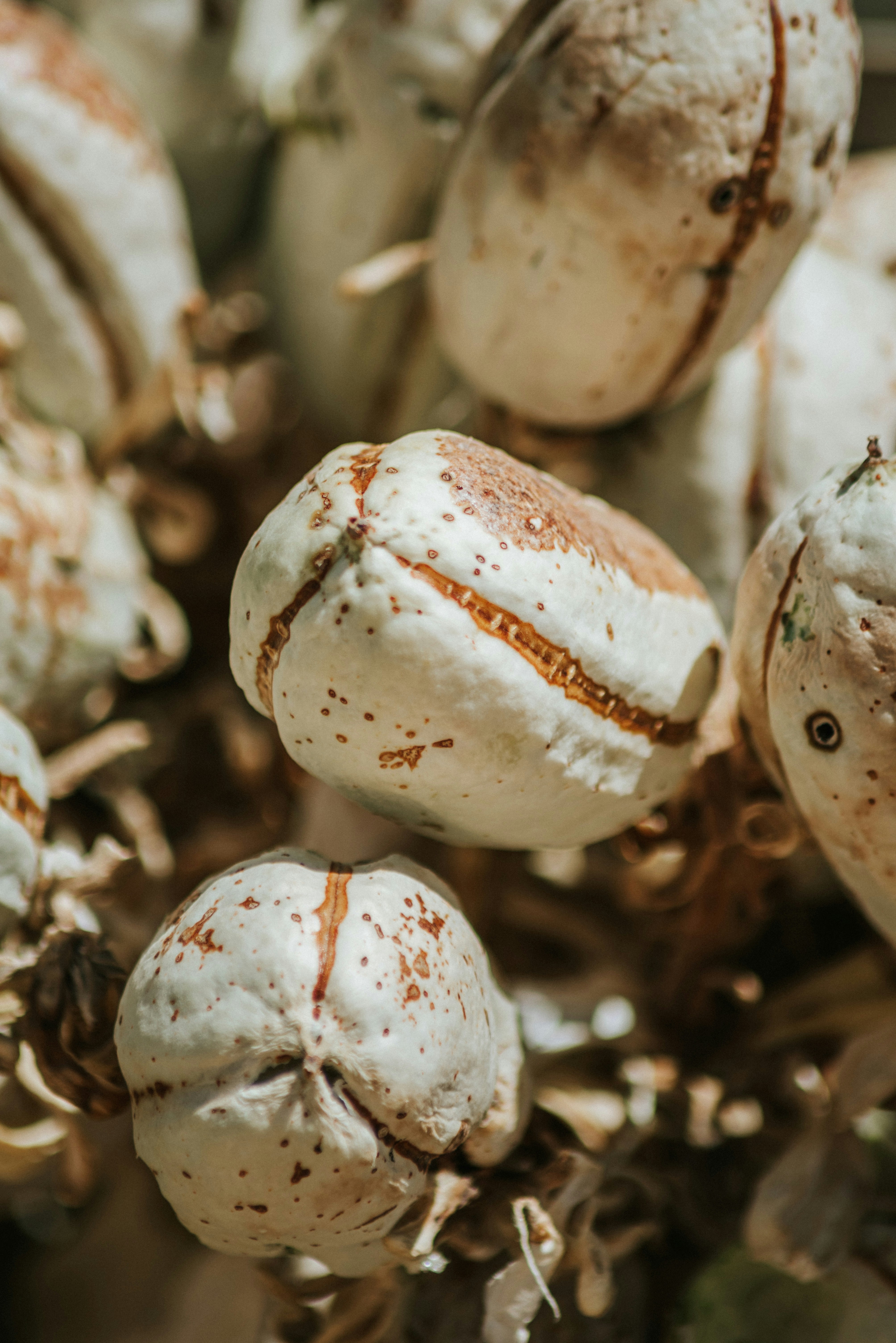 Photo by framesforyourheart