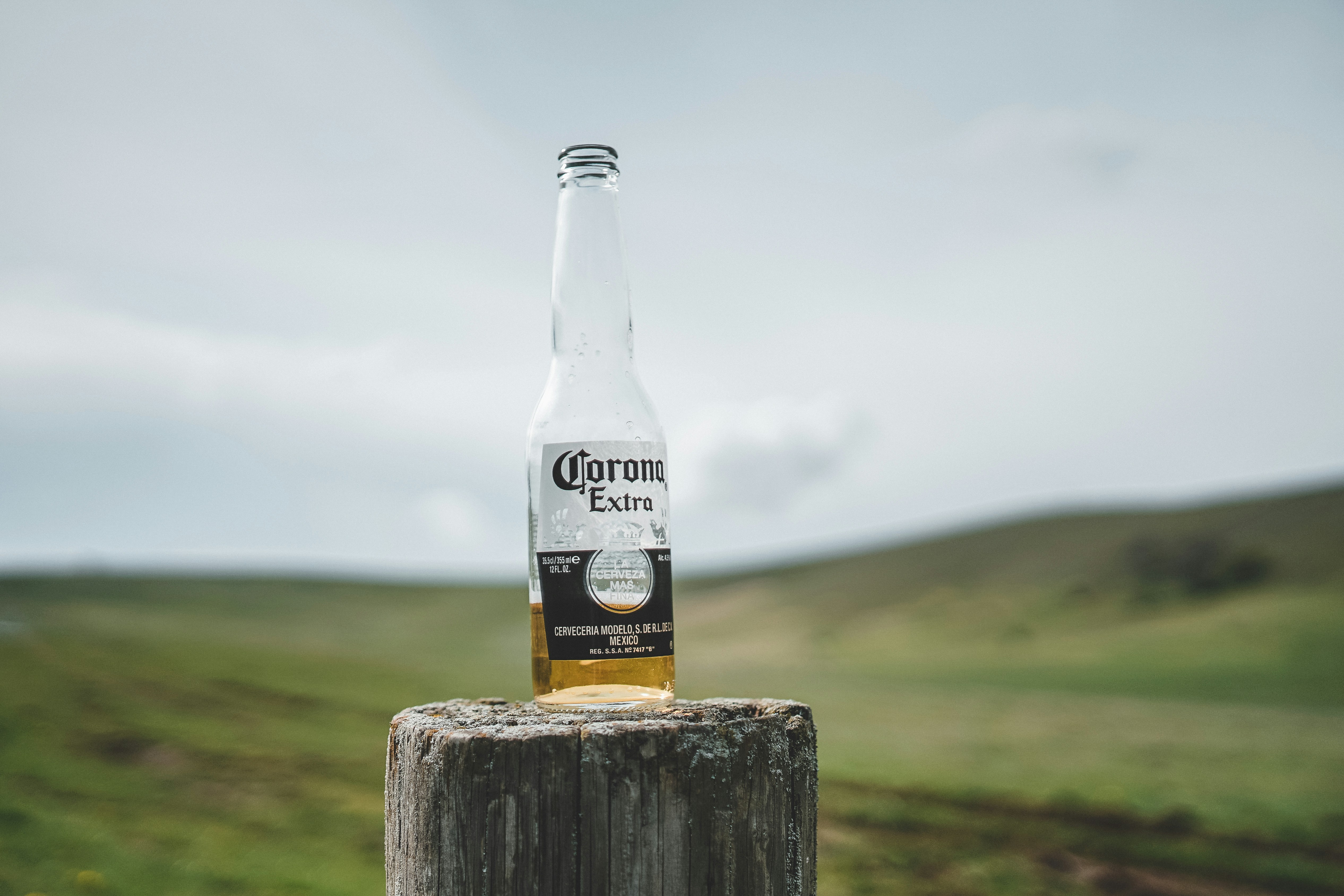 Corona Beer Pictures Download Free Images On Unsplash