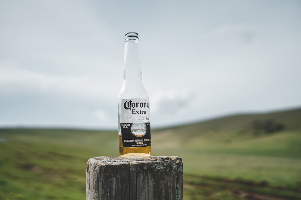 Botella de cerveza Corona Extra sobre tronco de madera marrón