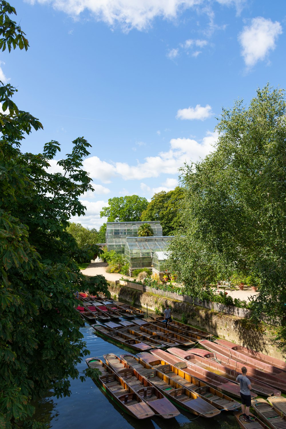 green trees near white concrete building during daytime