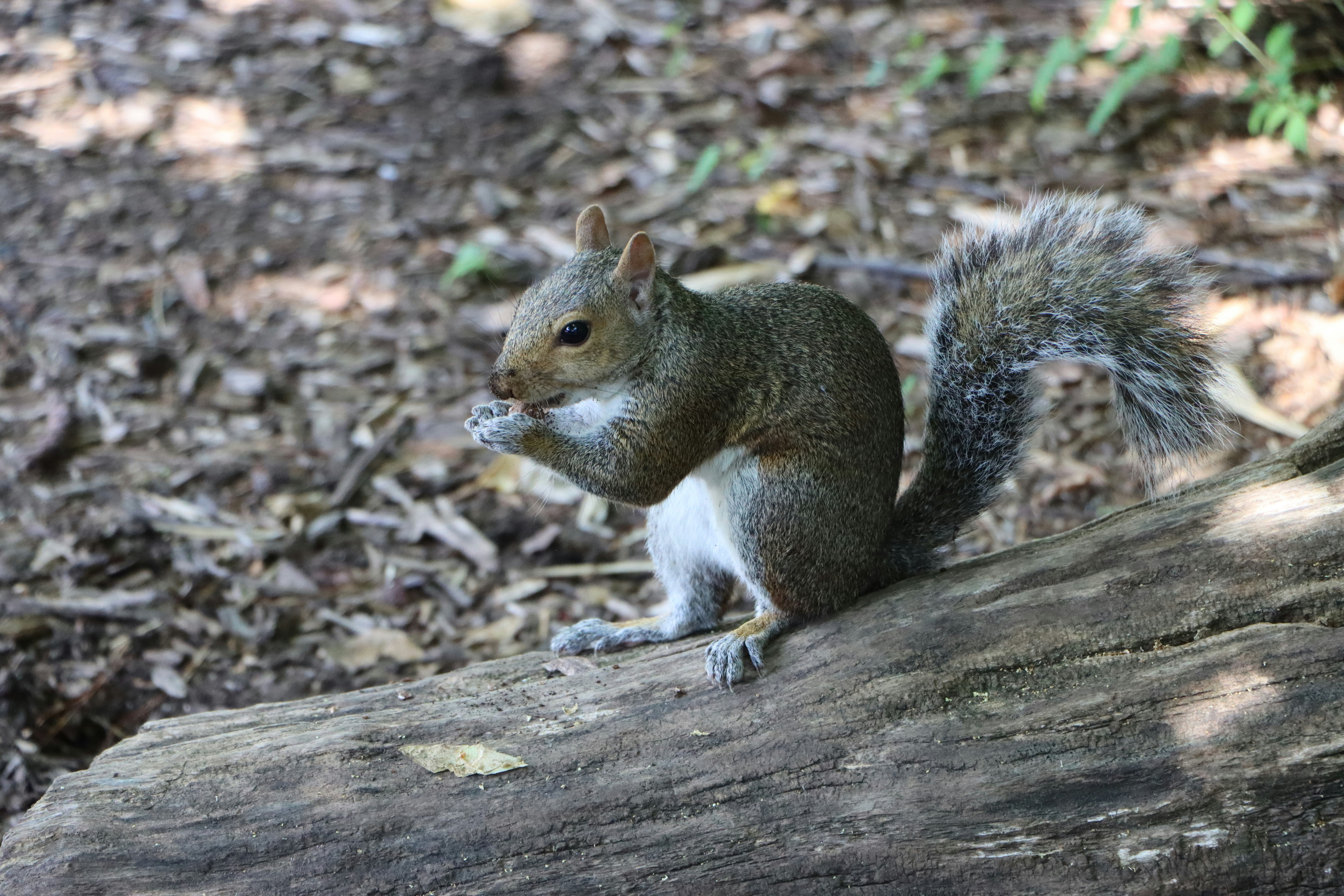 Photo by alexludwig12