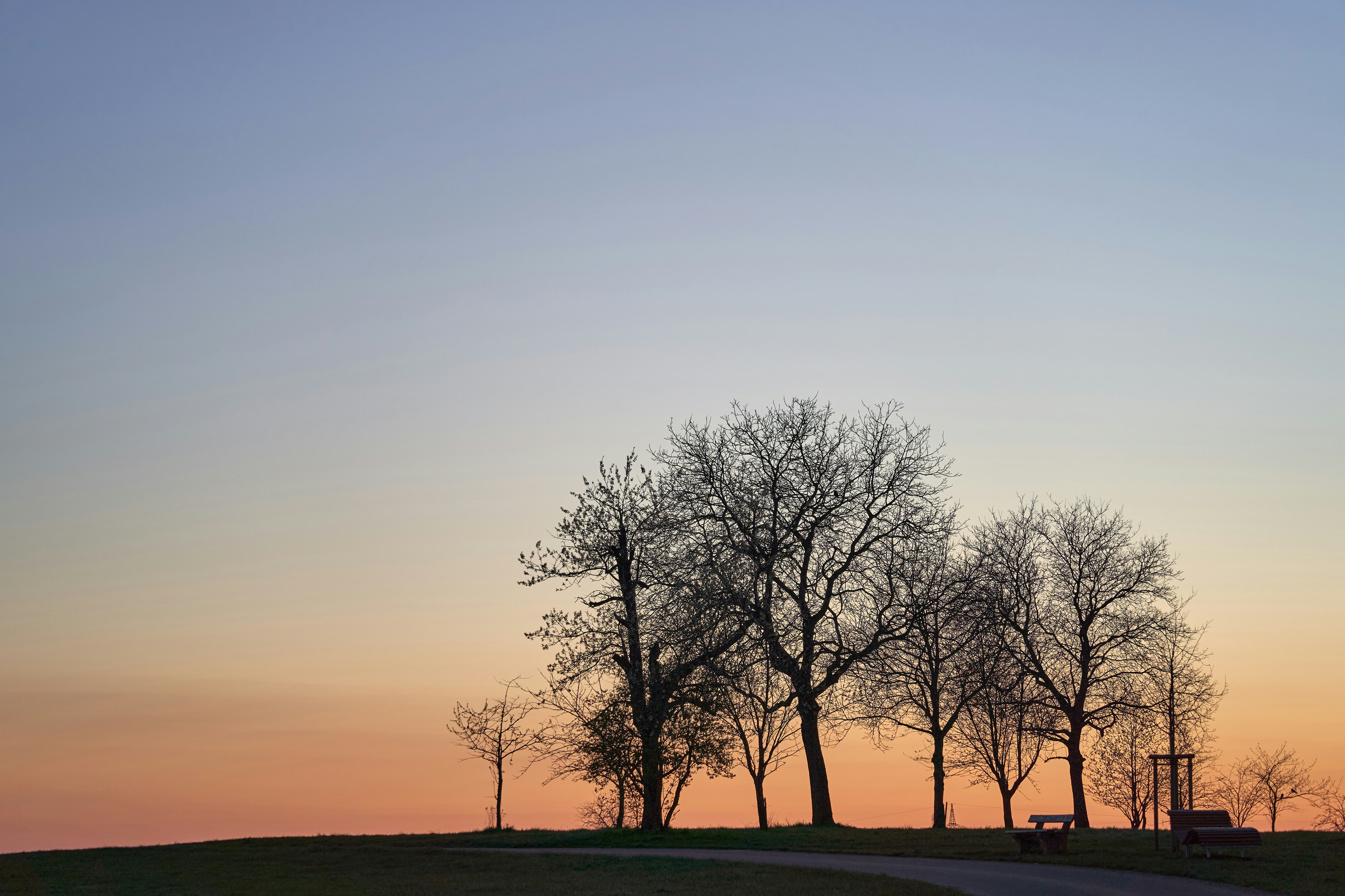 Photo by wolfgang_hasselmann