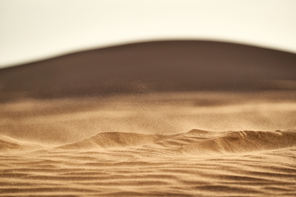 brown sand in close up photography