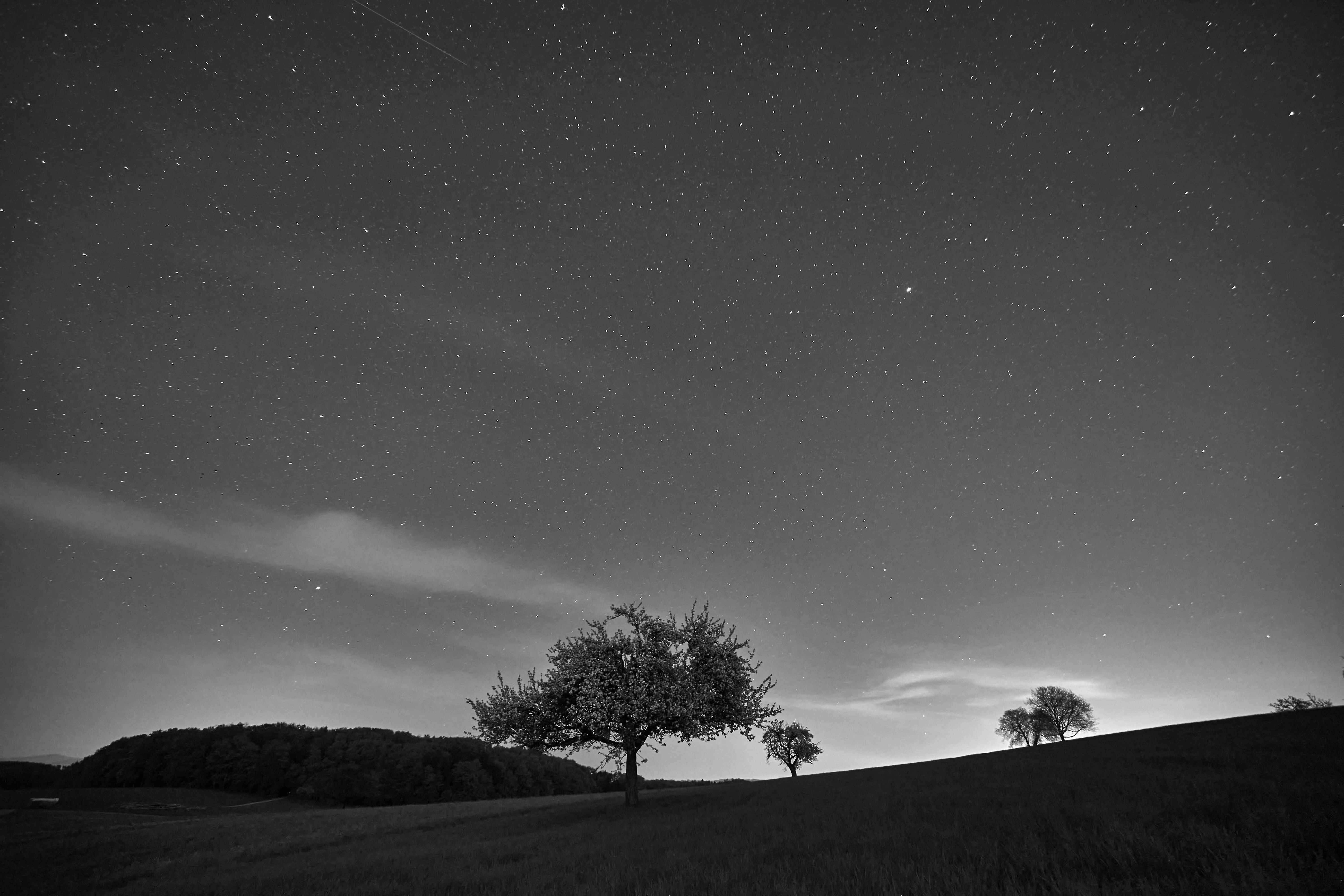 Photo by wolfgang_hasselmann