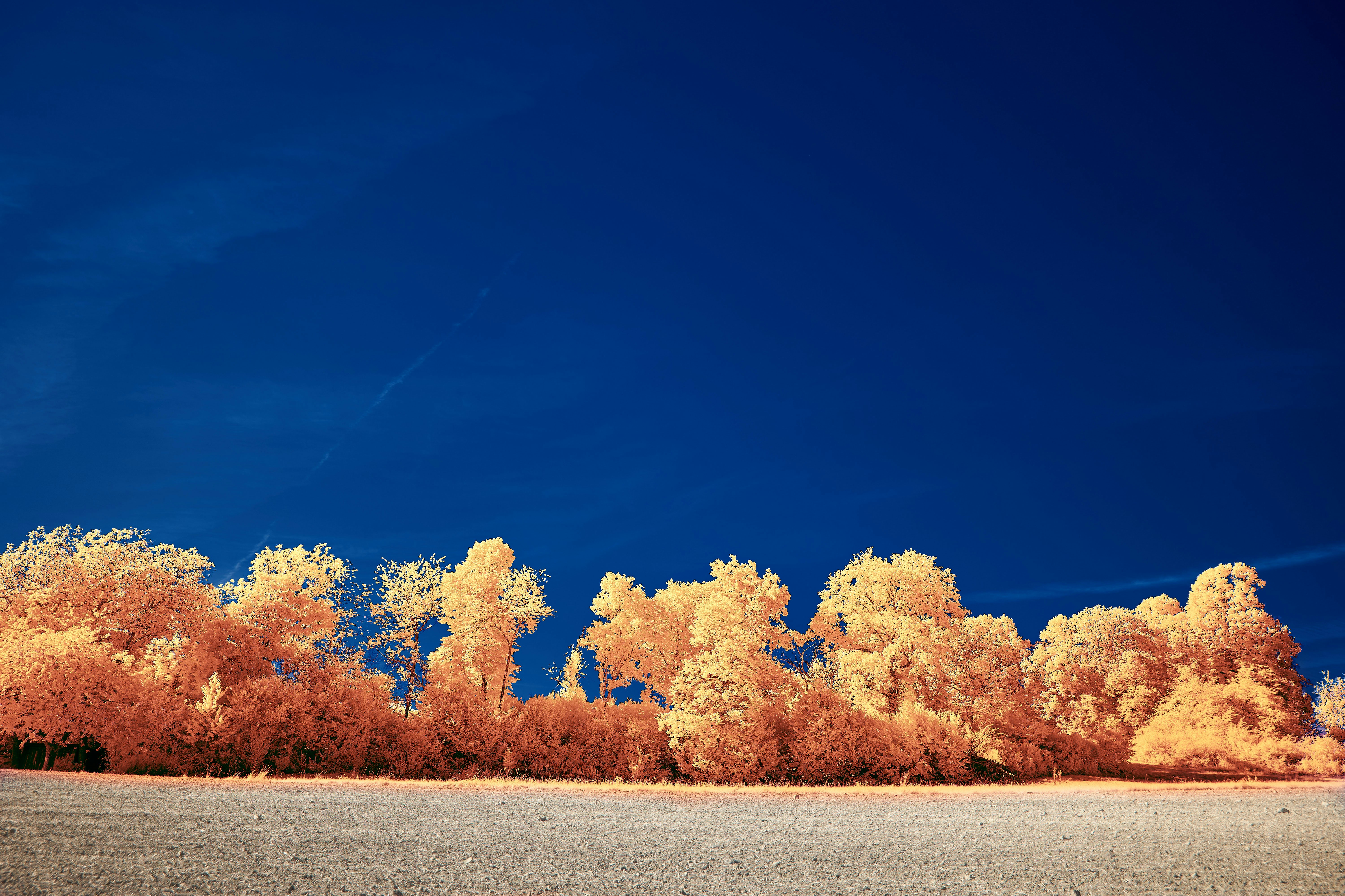 Photo by wolfgang_hasselmann