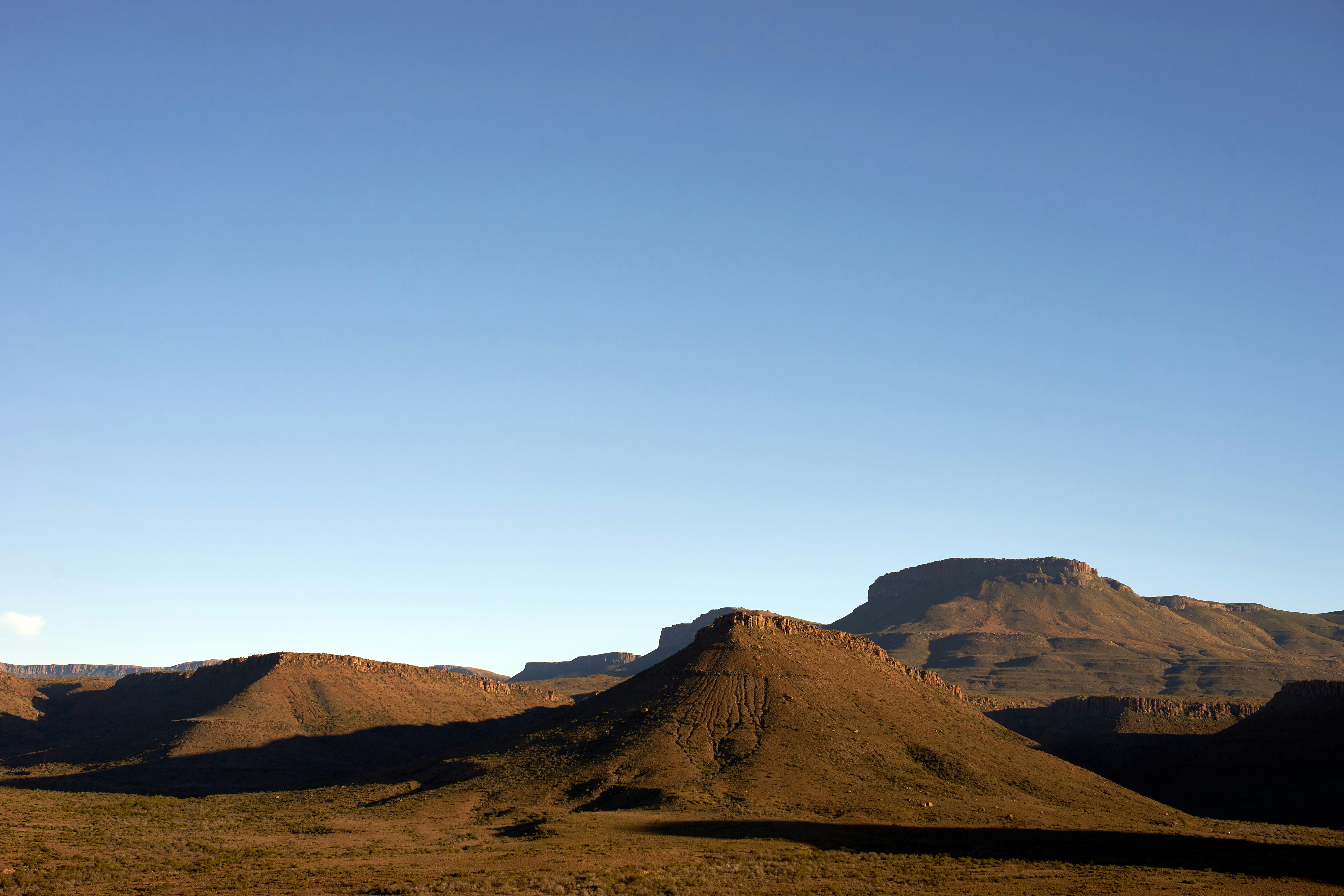 Photo by wolfgang_hasselmann