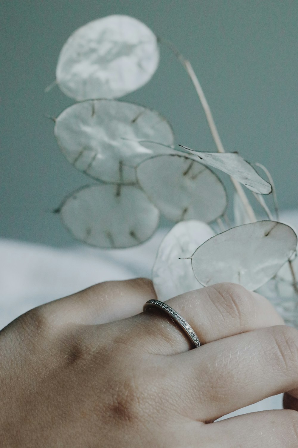 person wearing silver ring holding white flower