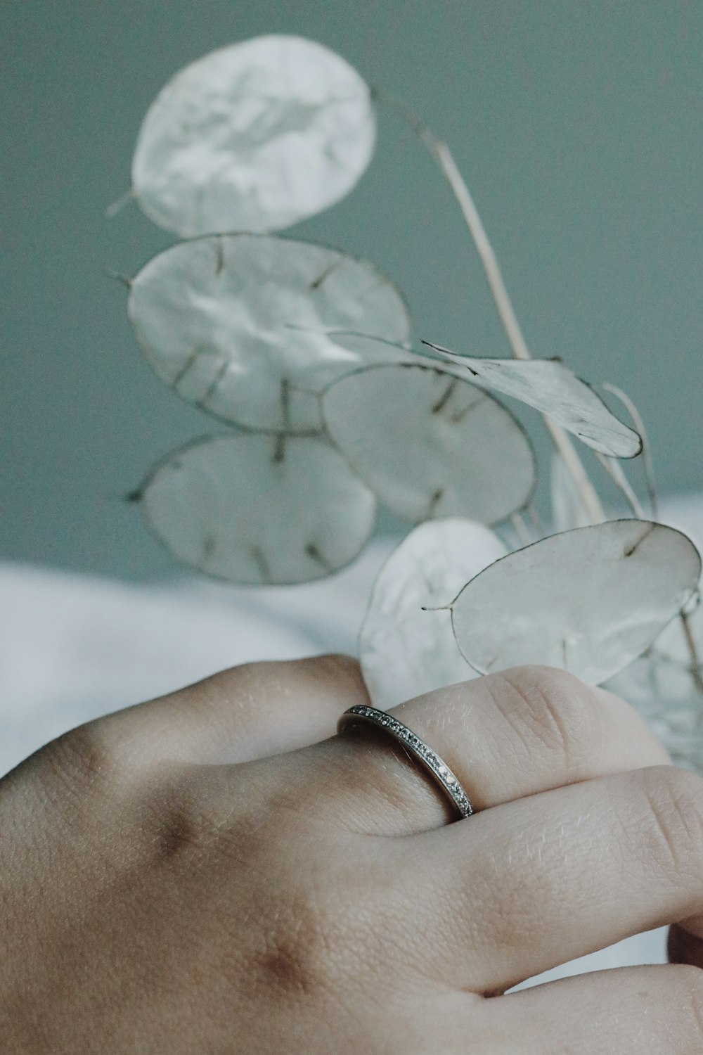 Person, die einen silbernen Ring mit weißer Blume trägt