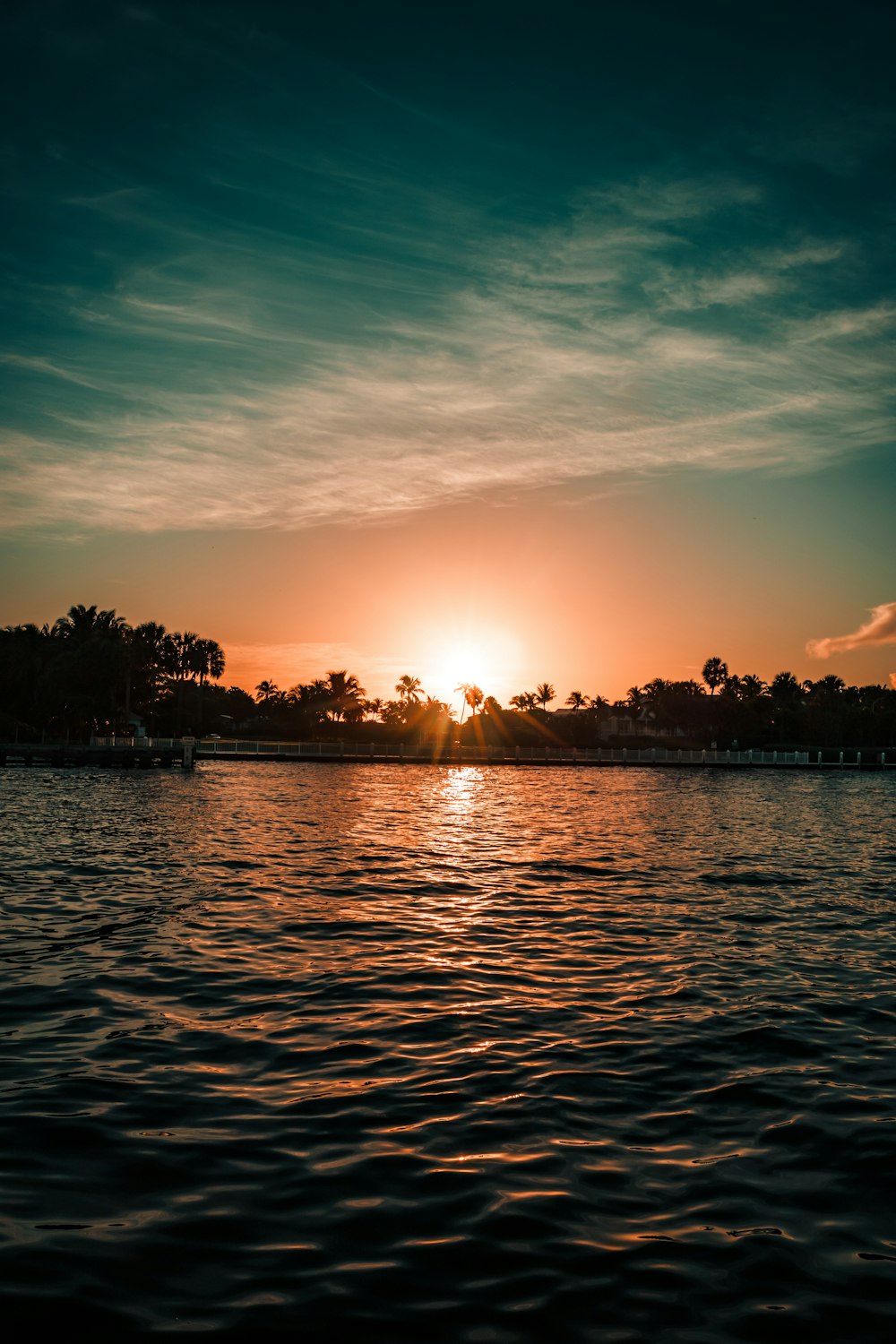 silhouette of trees near body of water during sunset