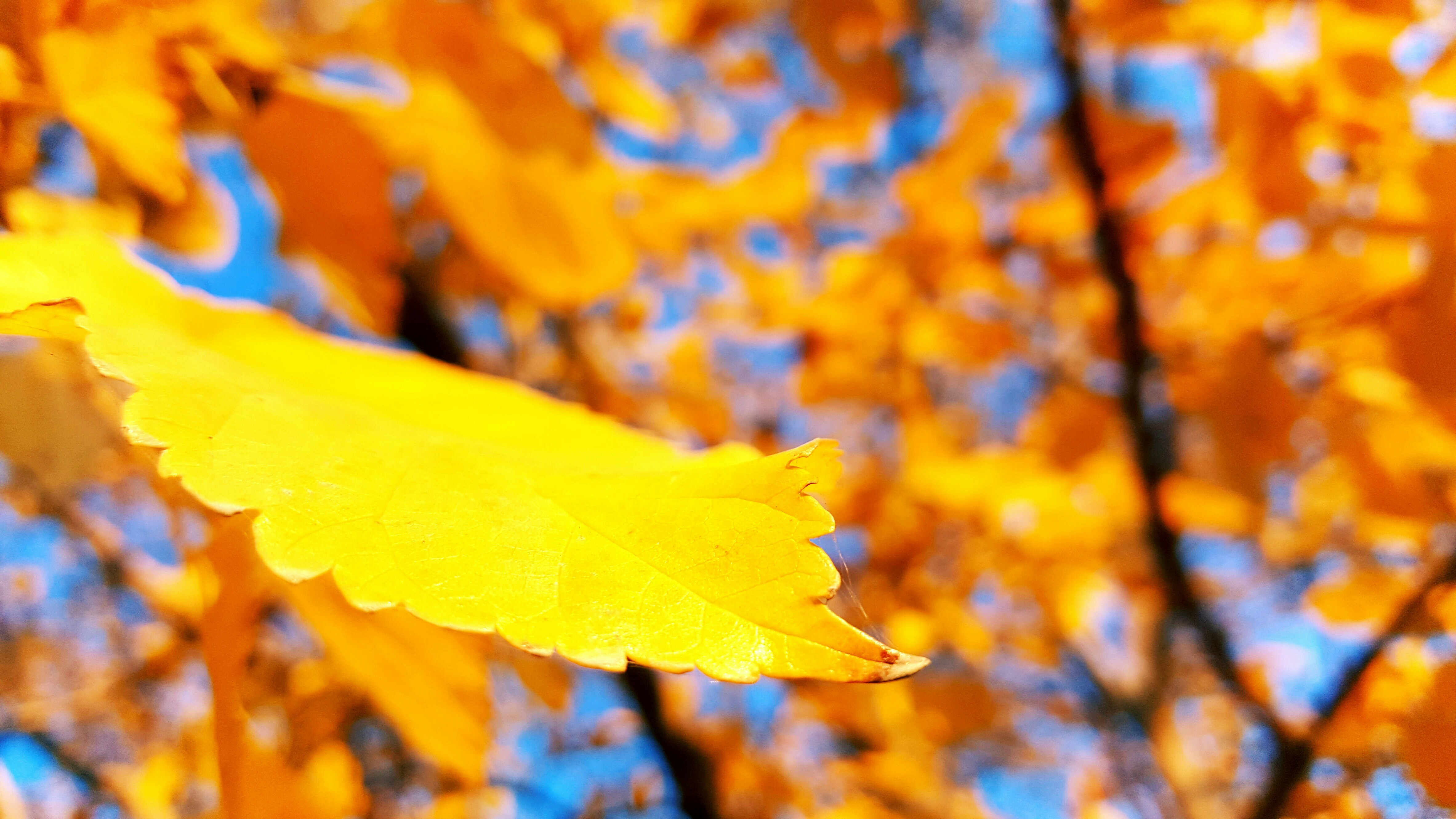 Photo by nh079107870764