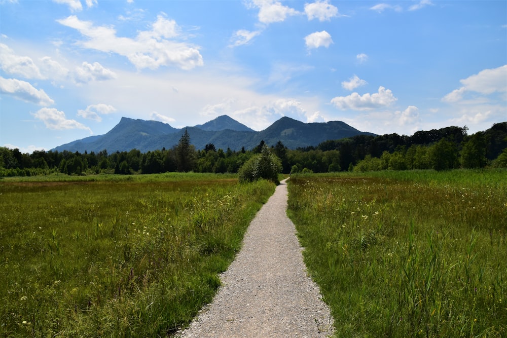 green grass field near mountain under blue sky during daytime