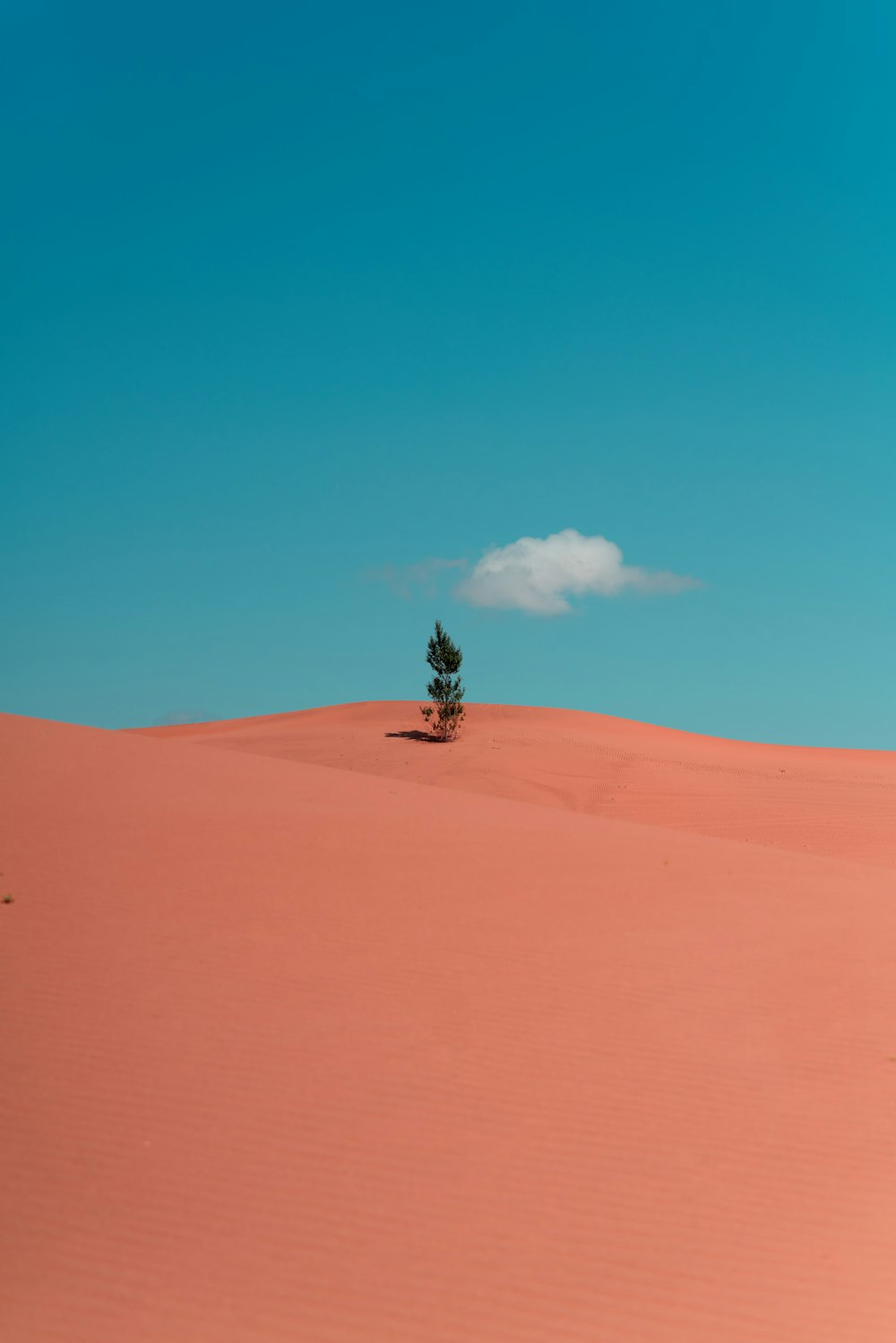 Mann in schwarzer Jacke sitzt tagsüber auf braunem Sand unter blauem Himmel