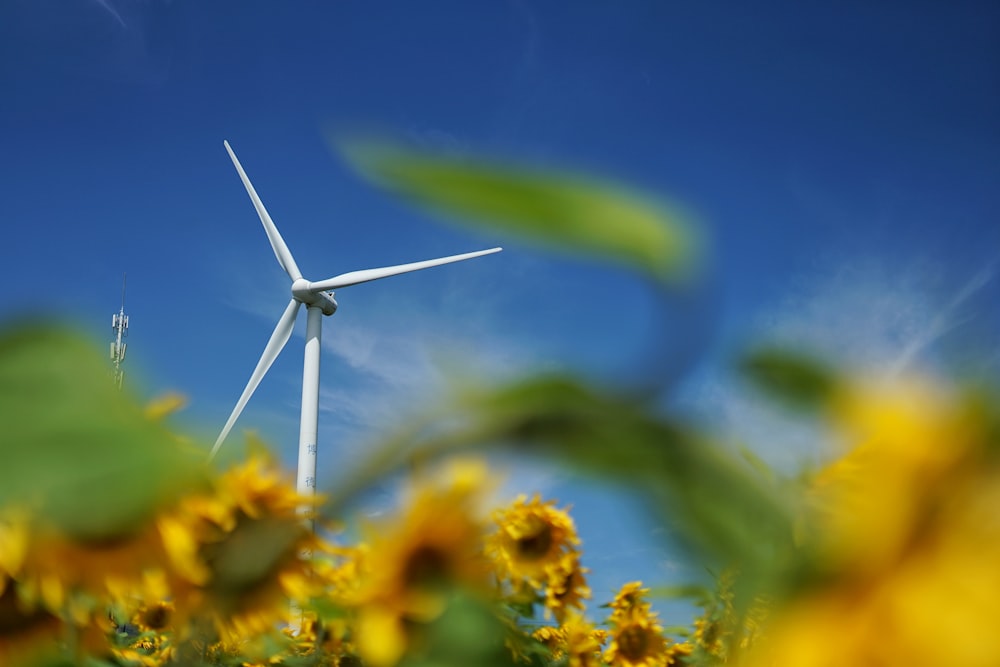 white wind turbine on yellow flower