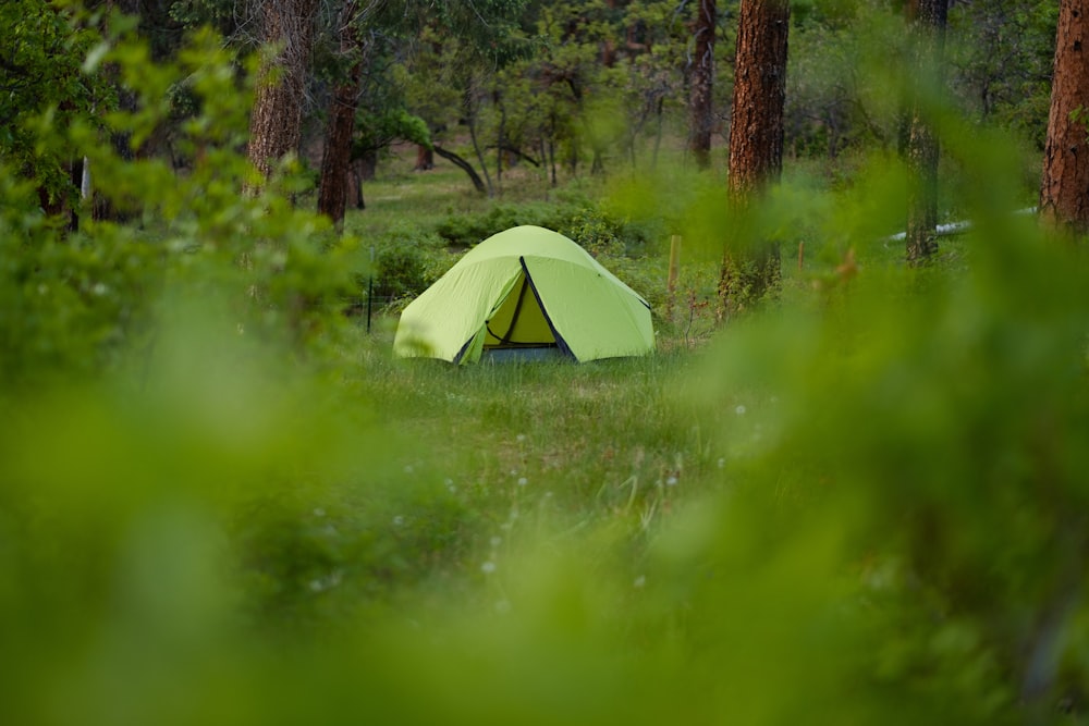 green dome tent on green grass field during daytime