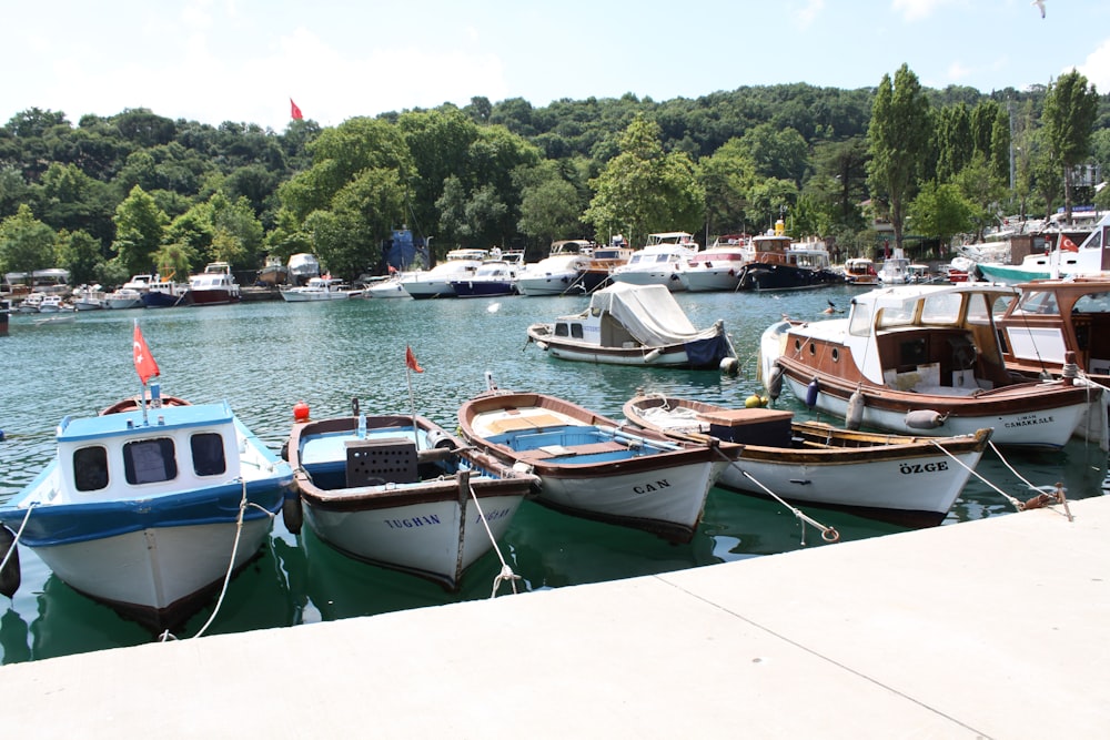 white and green boats on sea dock during daytime