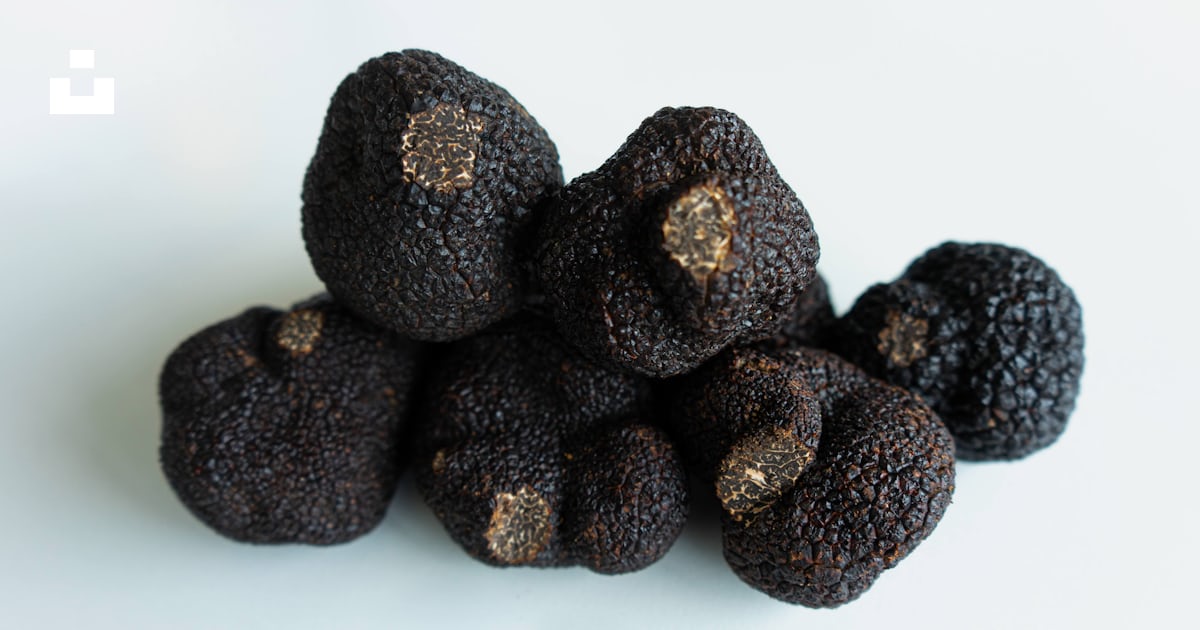 Fruit rond brun sur surface blanche photo – Image gratuite de Australie ...