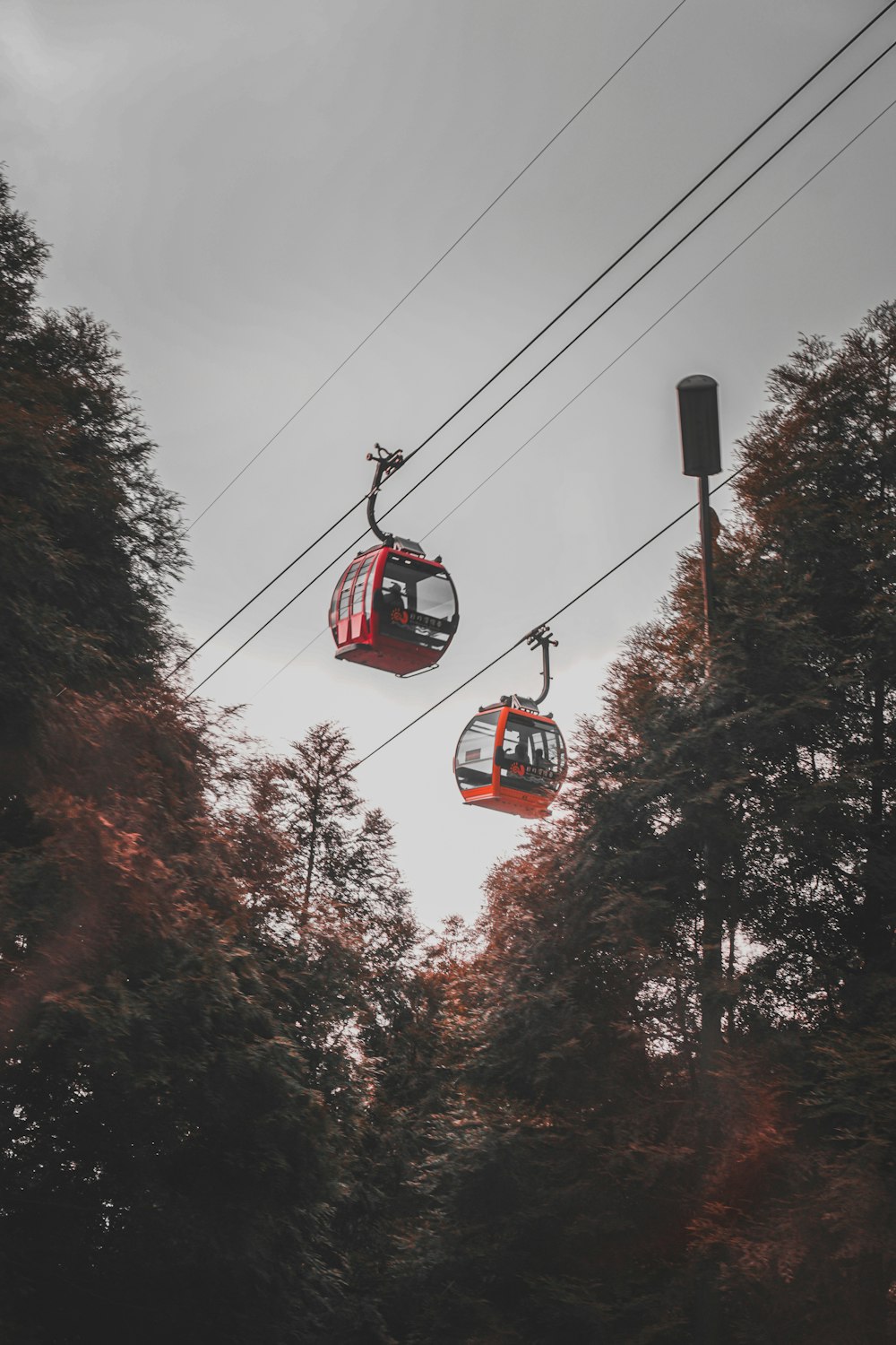 red cable car over green trees during daytime