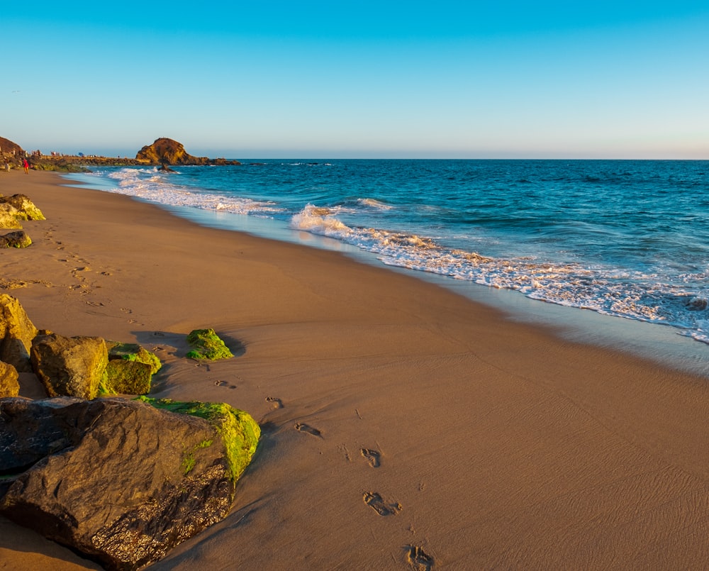 brown sand beach during daytime