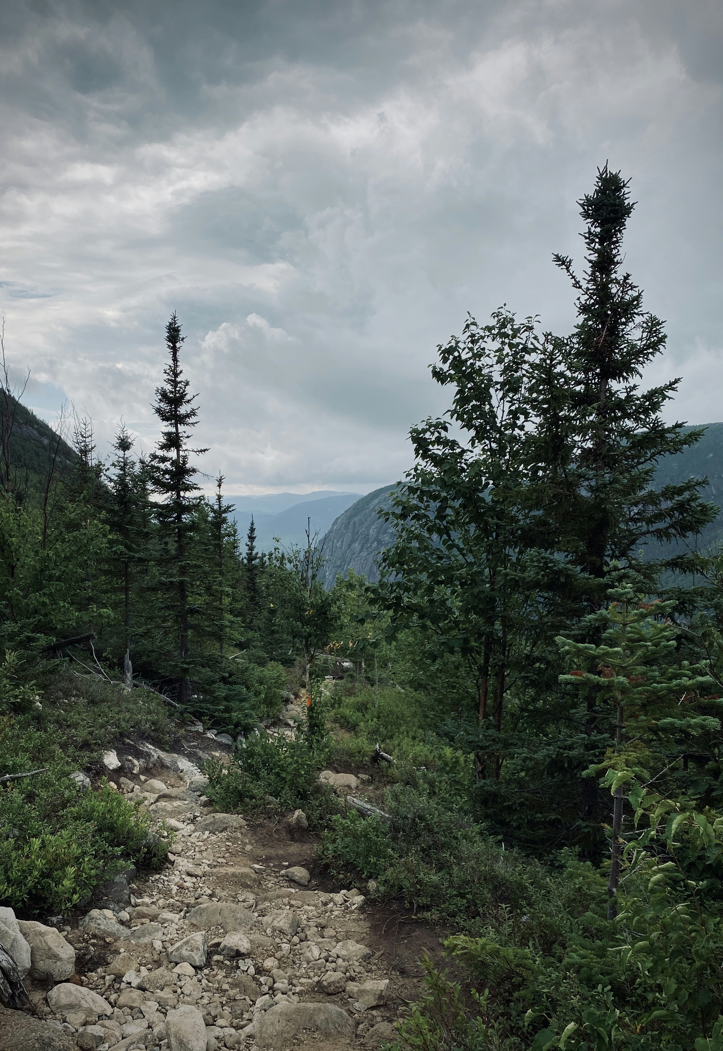 Photo by frankbouffard