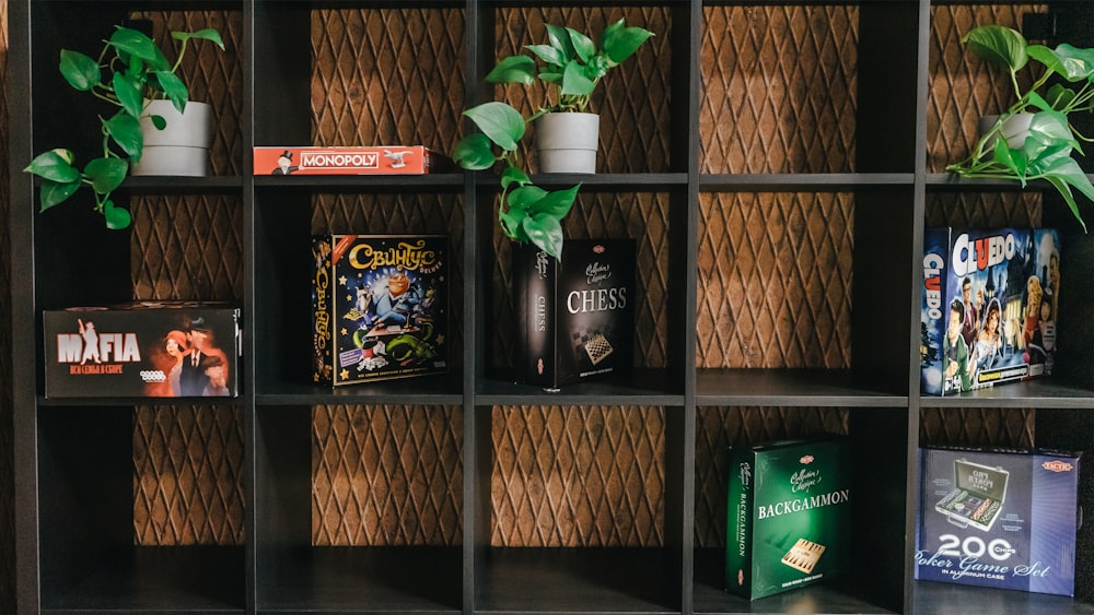 green leaf plant on black wooden shelf