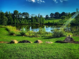 Dallas Pond Builder