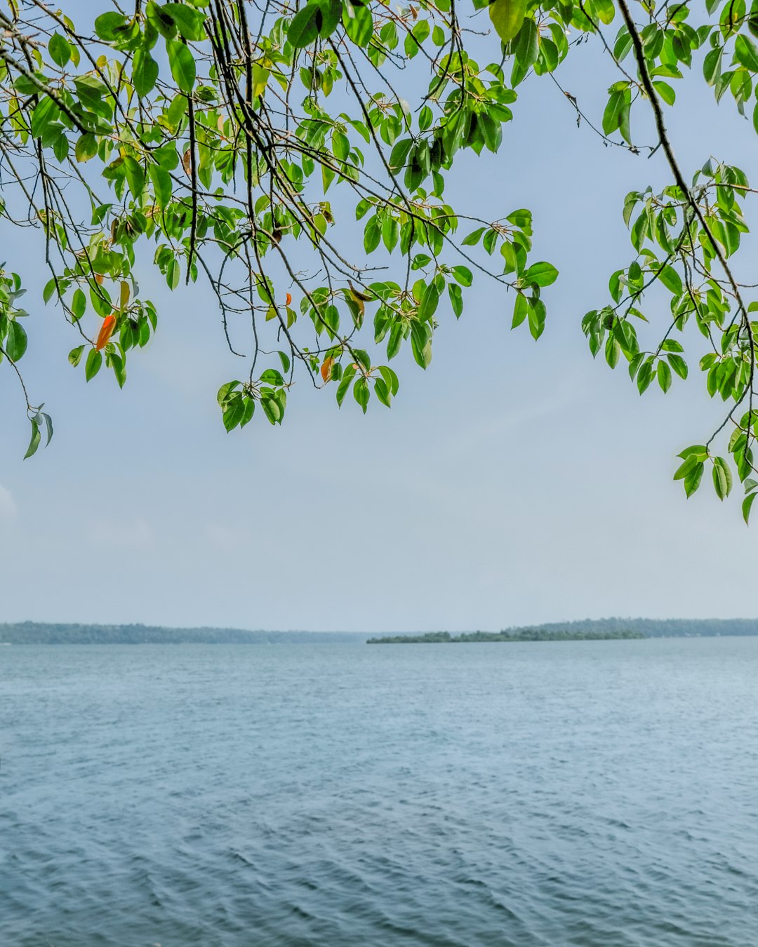 Ocean photo spot Kollam Kumarakom