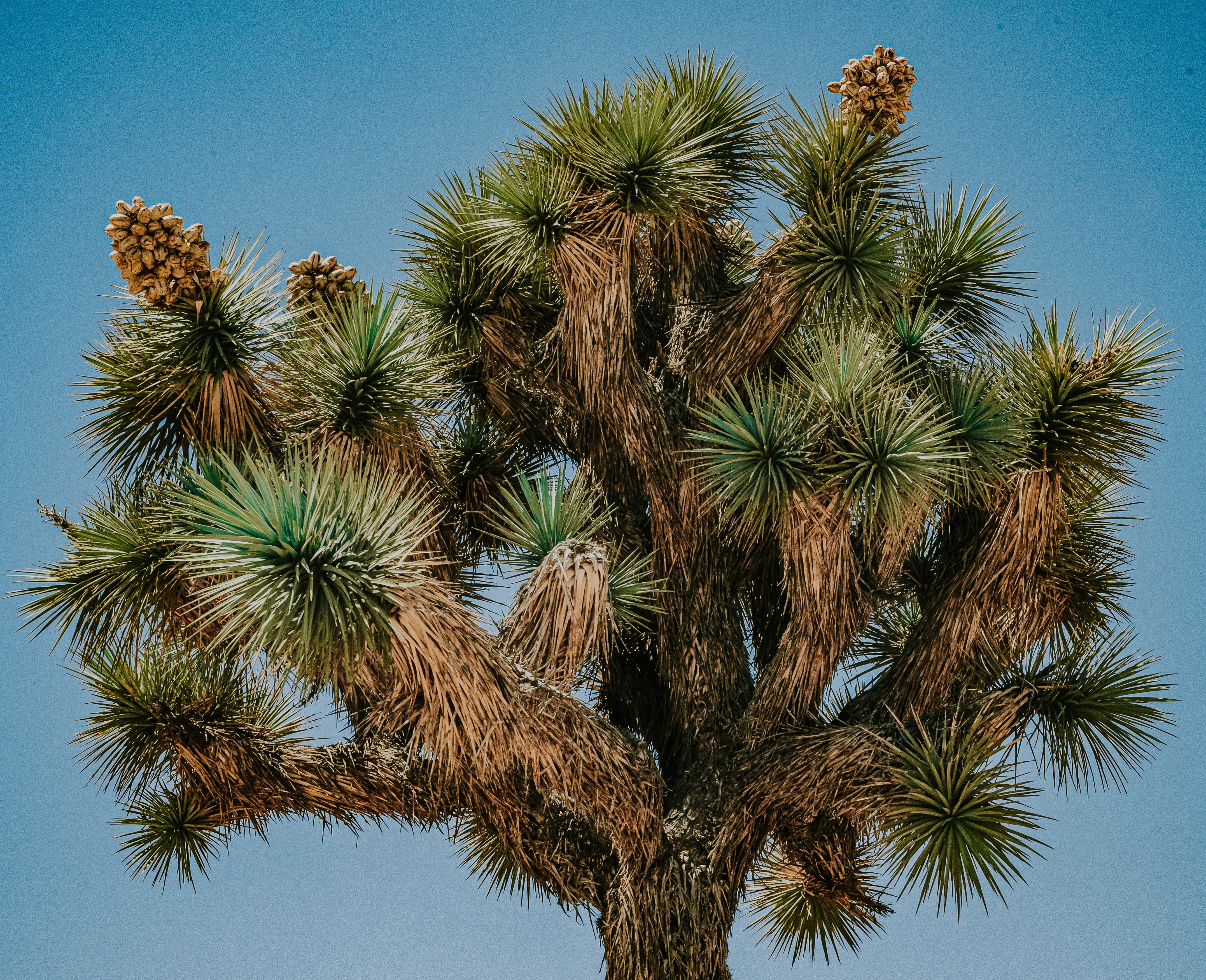 Photo by framesforyourheart