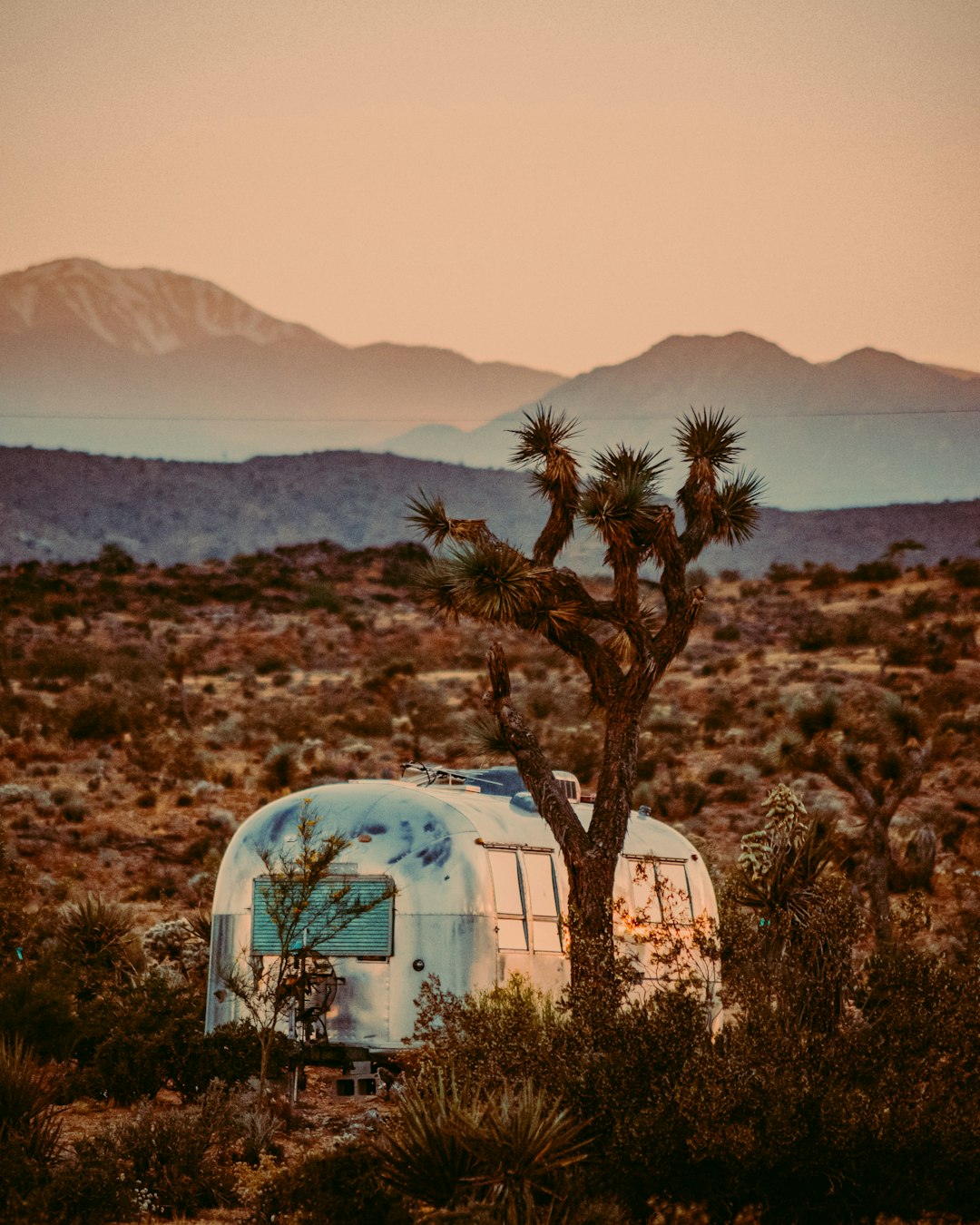 Ecoregion photo spot Joshua Tree Big Bear