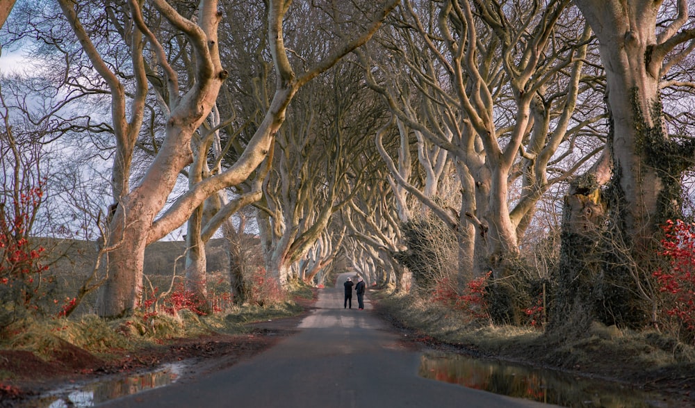 person in black jacket walking on road between trees during daytime