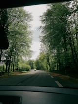 gray asphalt road between green trees during daytime