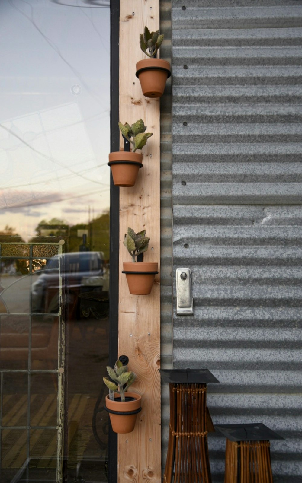 green potted plant on brown wooden table