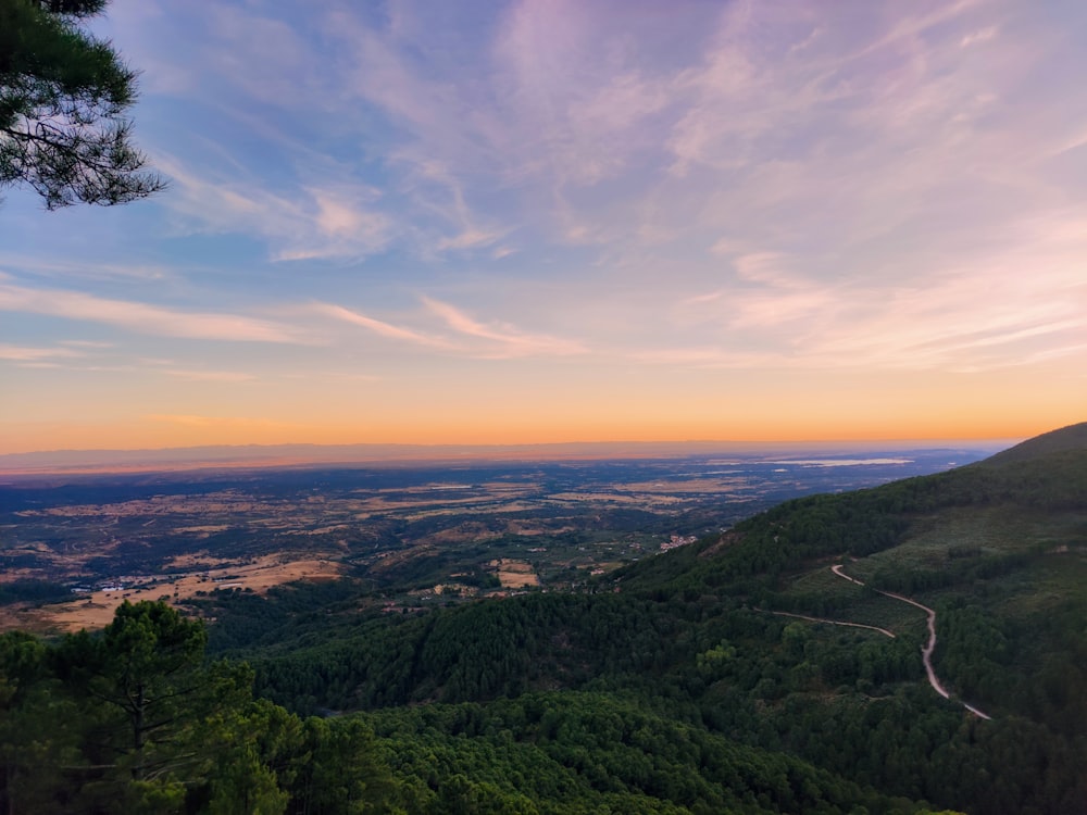 green trees on mountain under blue sky during daytime