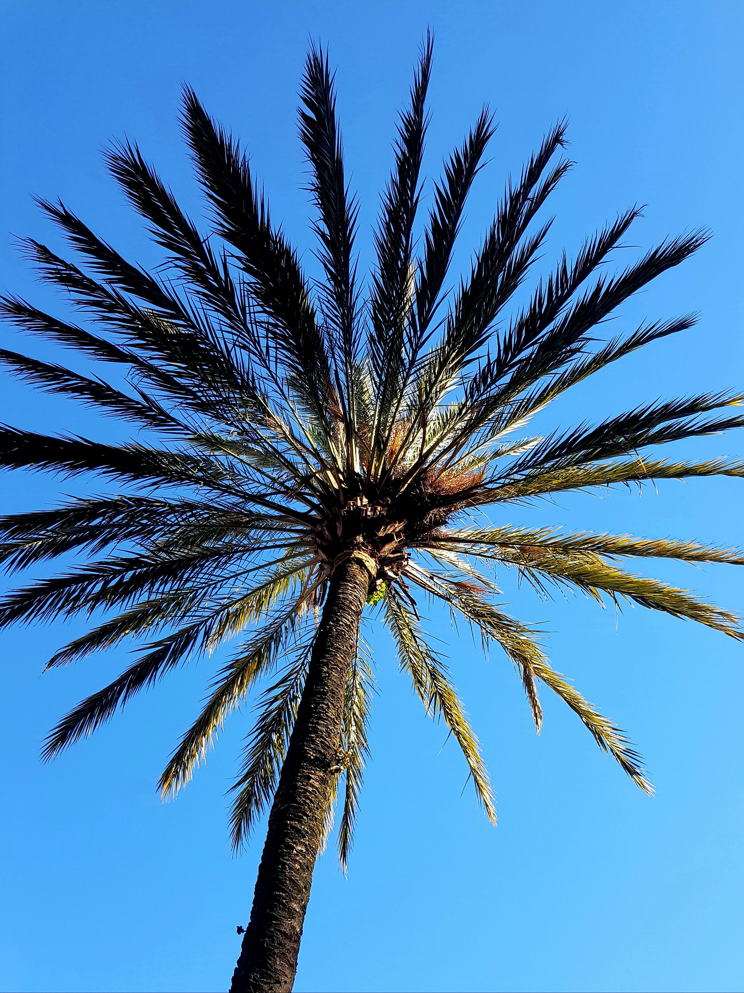 Photo by lawinhassan