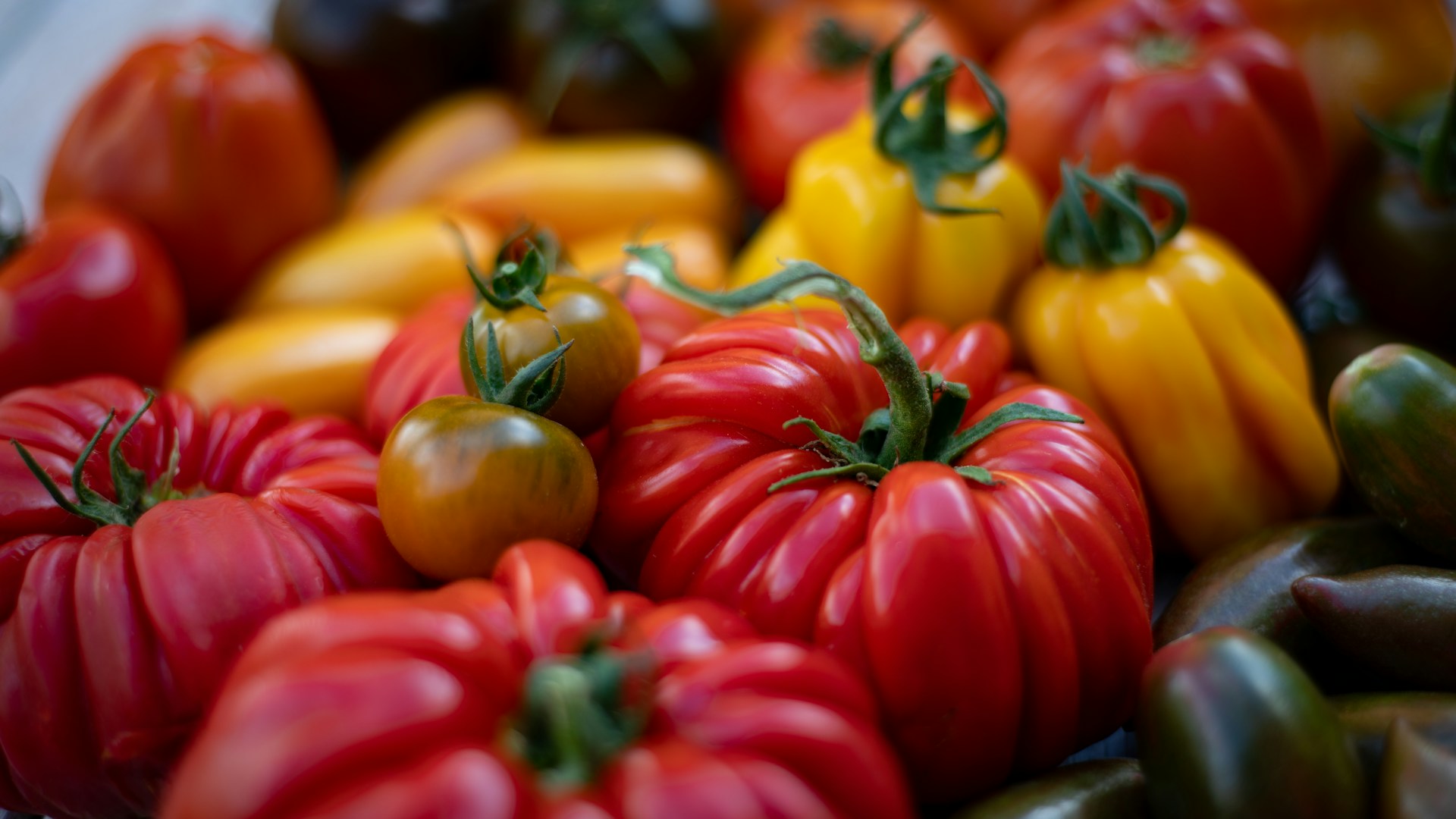 red and yellow bell peppers