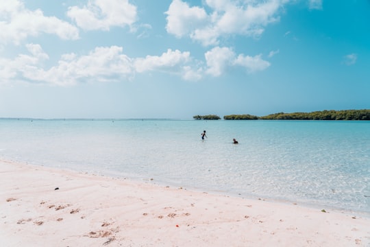 people on beach during daytime in Boca Chica Dominican Republic