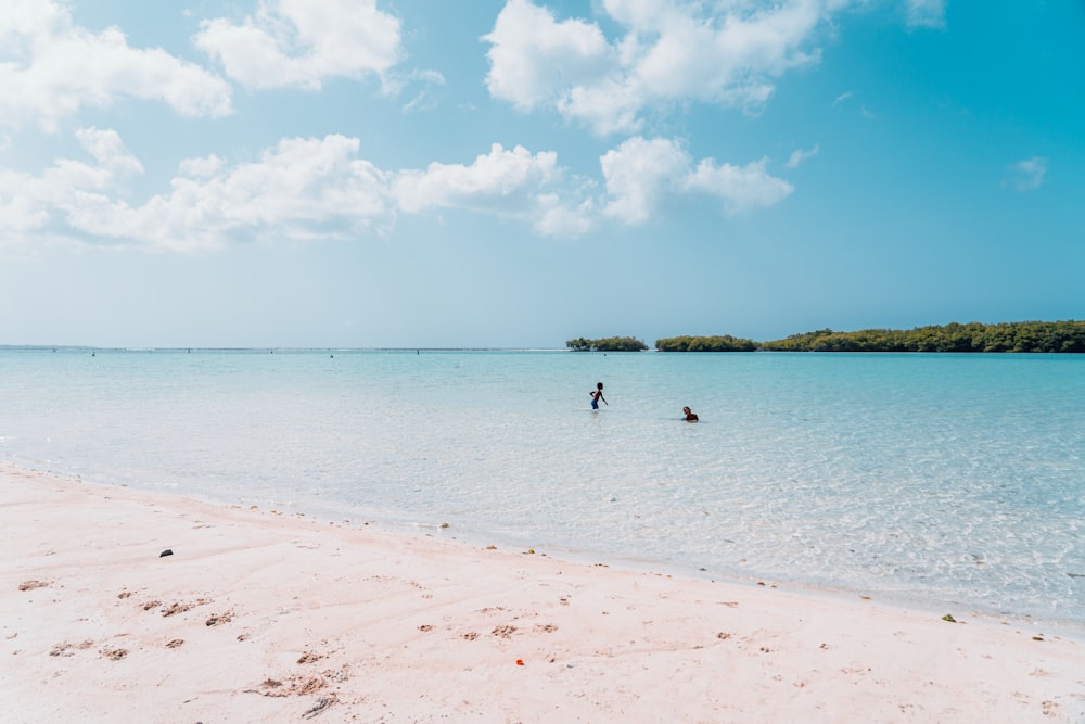 people on beach during daytime