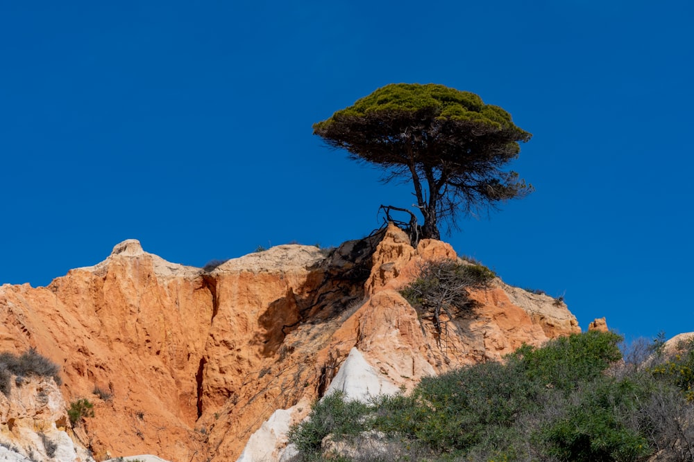 brown rock formation under blue sky during daytime