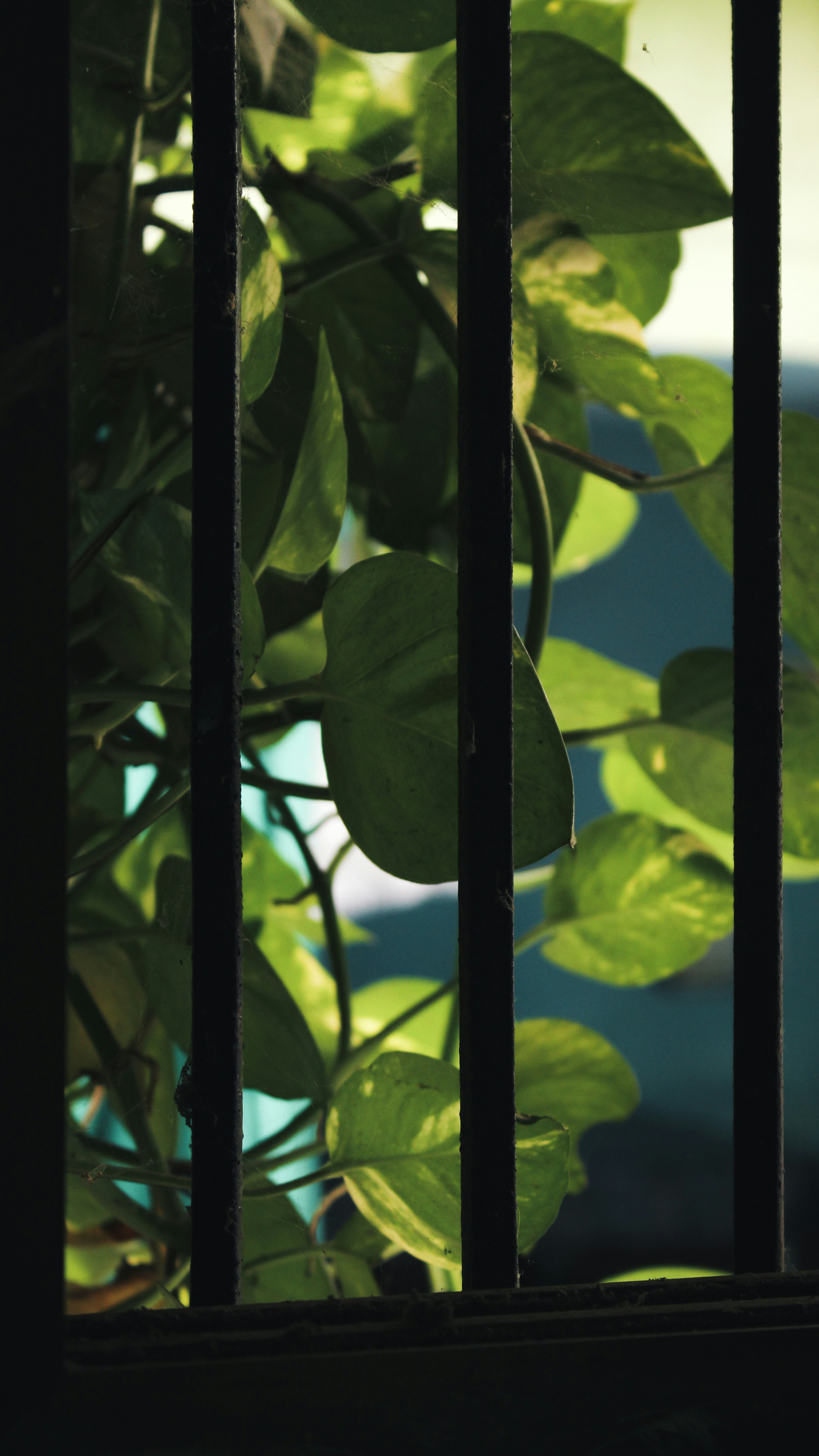 Photo by deepak_jpeg