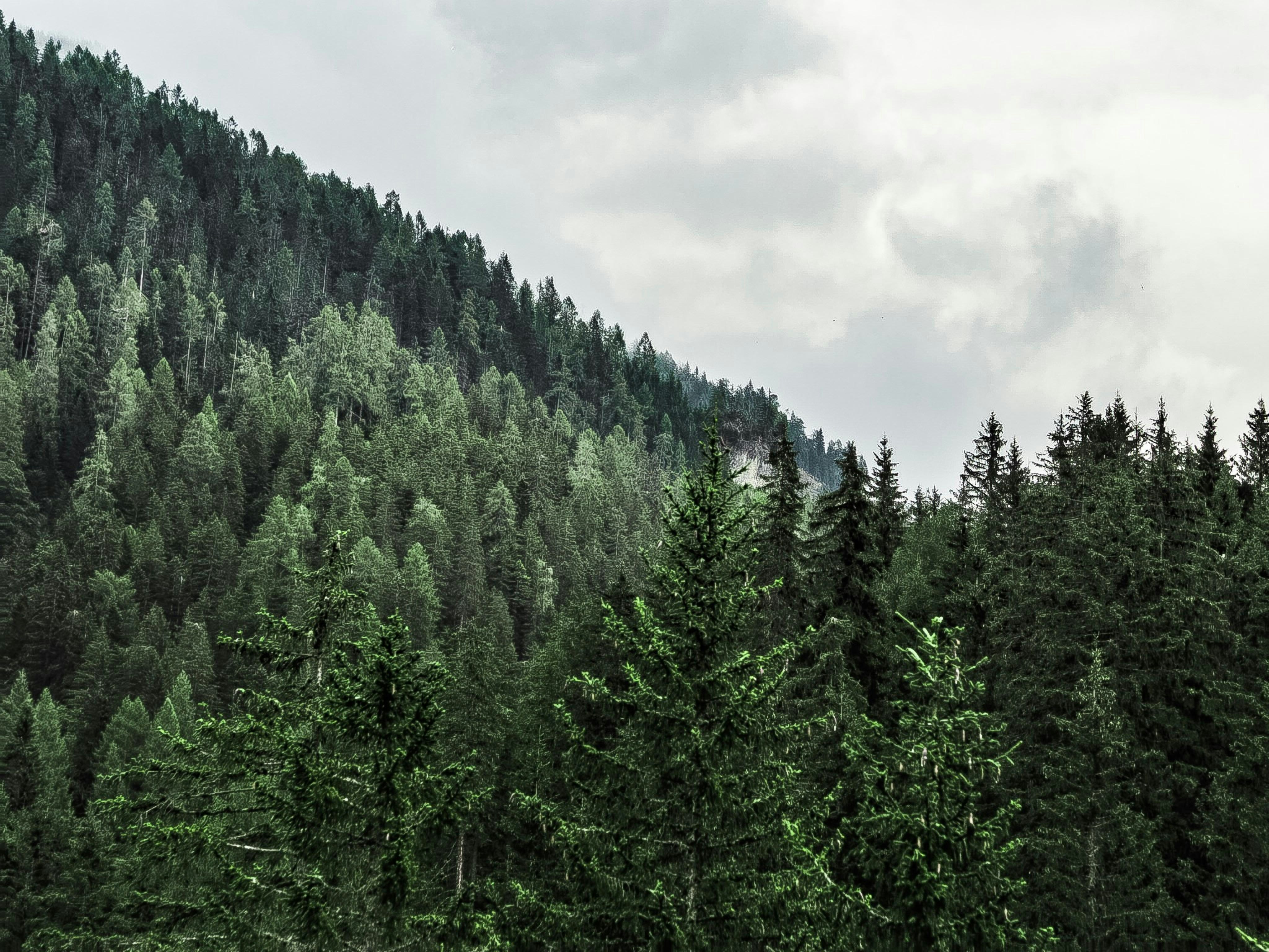 Photo by laurachouette