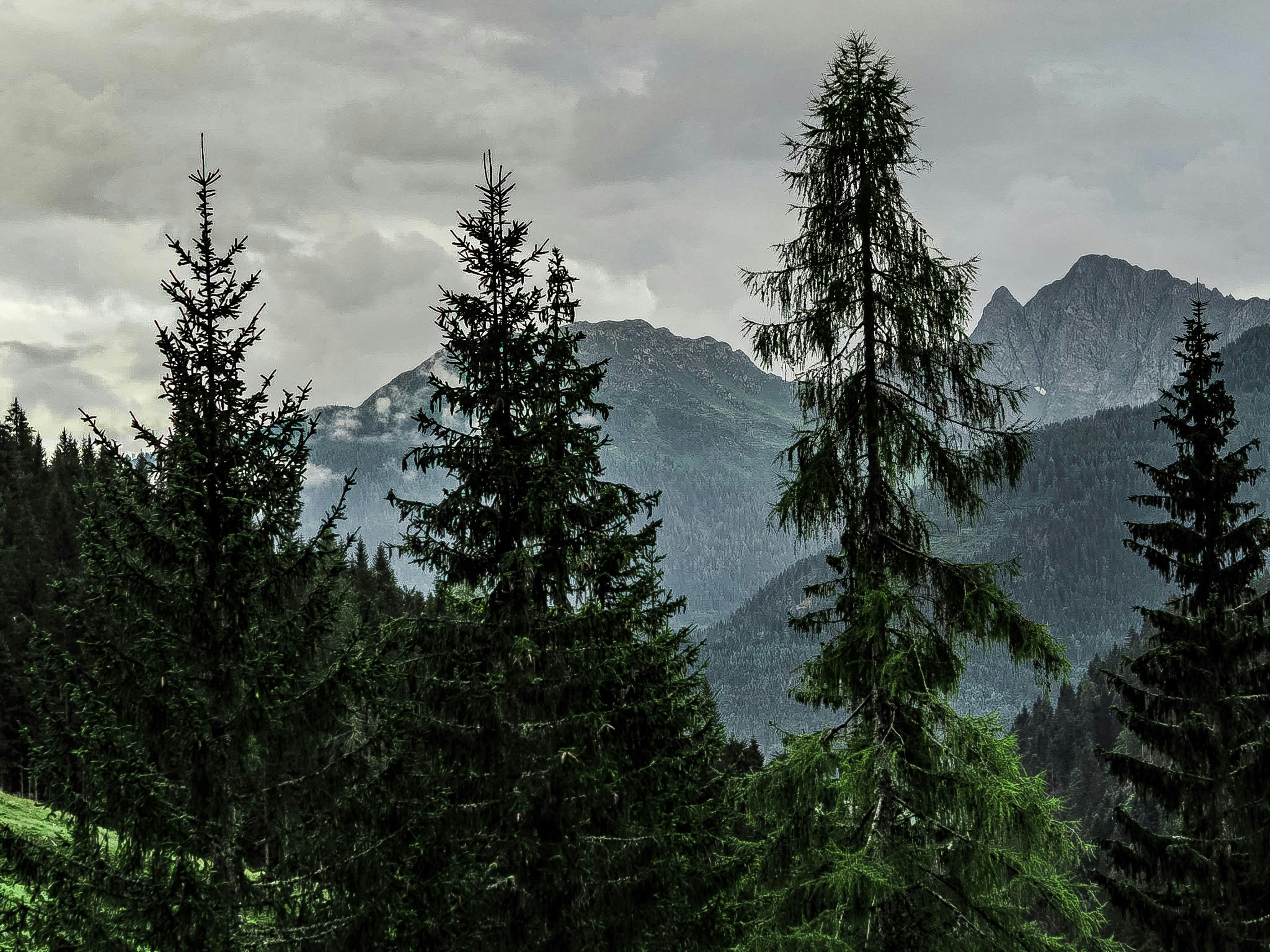 Photo by laurachouette