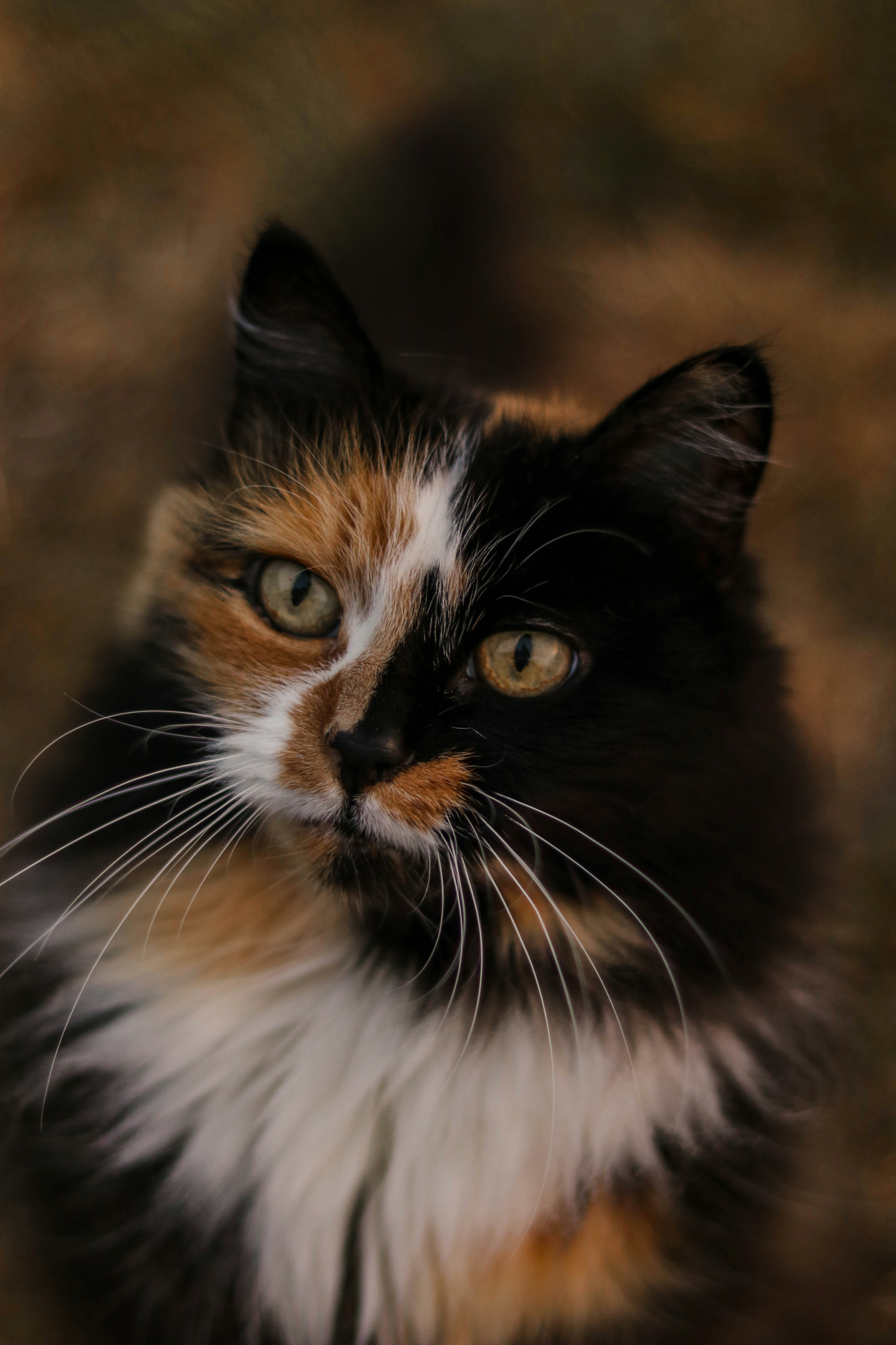 Photo by isabellwallstrom