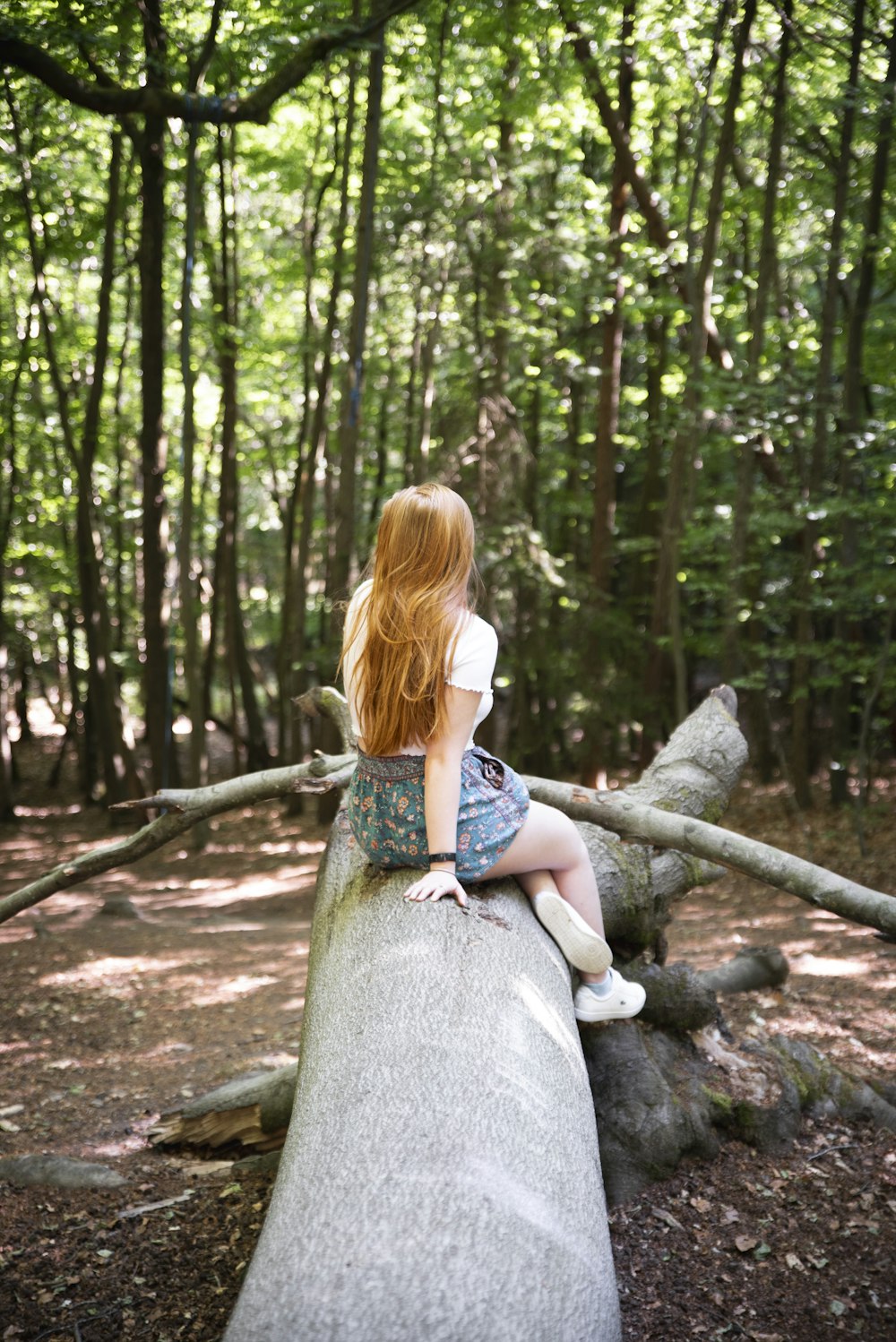 woman in blue dress sitting on tree trunk