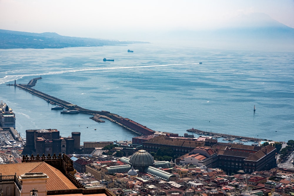 aerial view of city buildings near sea during daytime