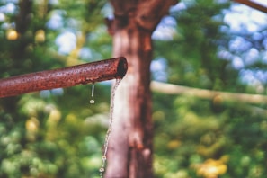 A rusty metal pipe extends diagonally with water dripping from its end, set against a blurred, natural background of green and brown hues.