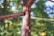 A rusty metal pipe extends diagonally with water dripping from its end, set against a blurred, natural background of green and brown hues.