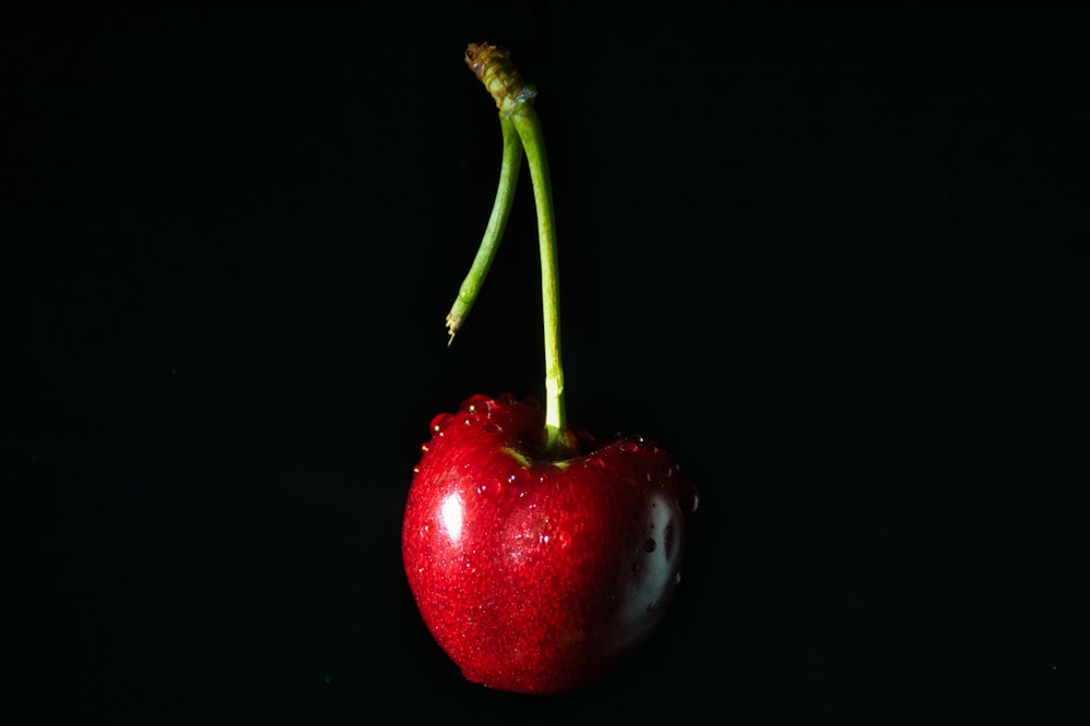red cherry fruit on black background
