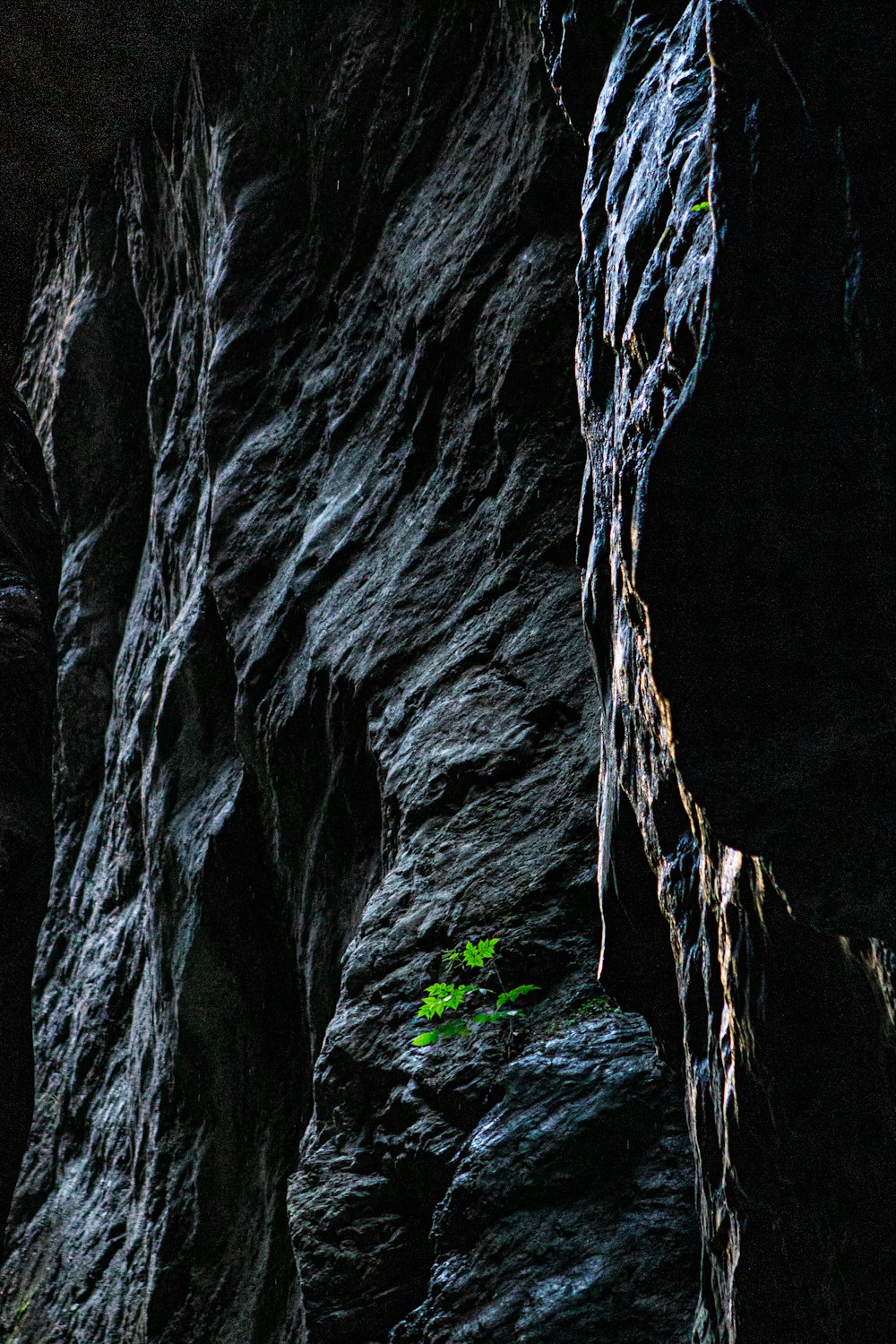 black and gray rock formation